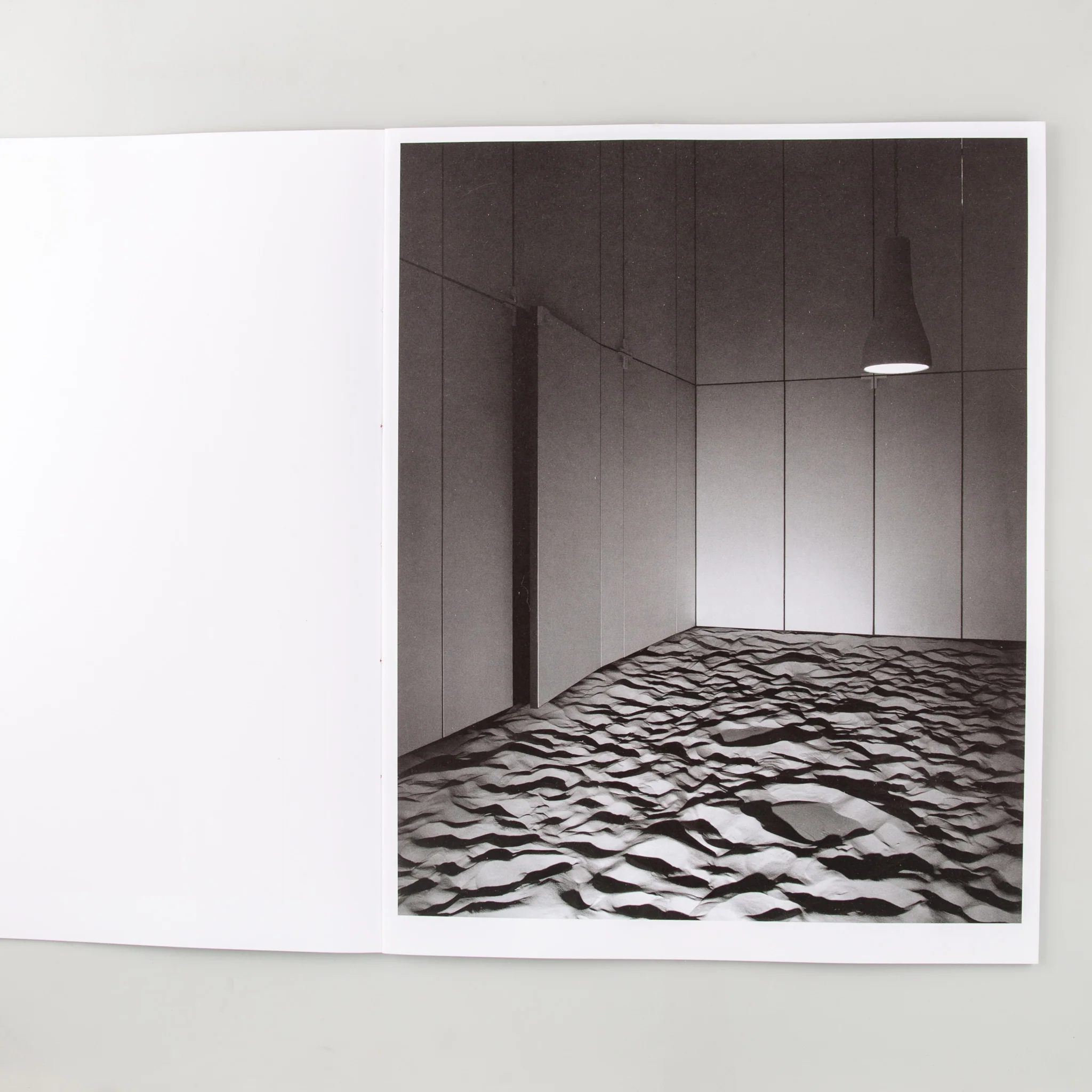 2020 - Image 6