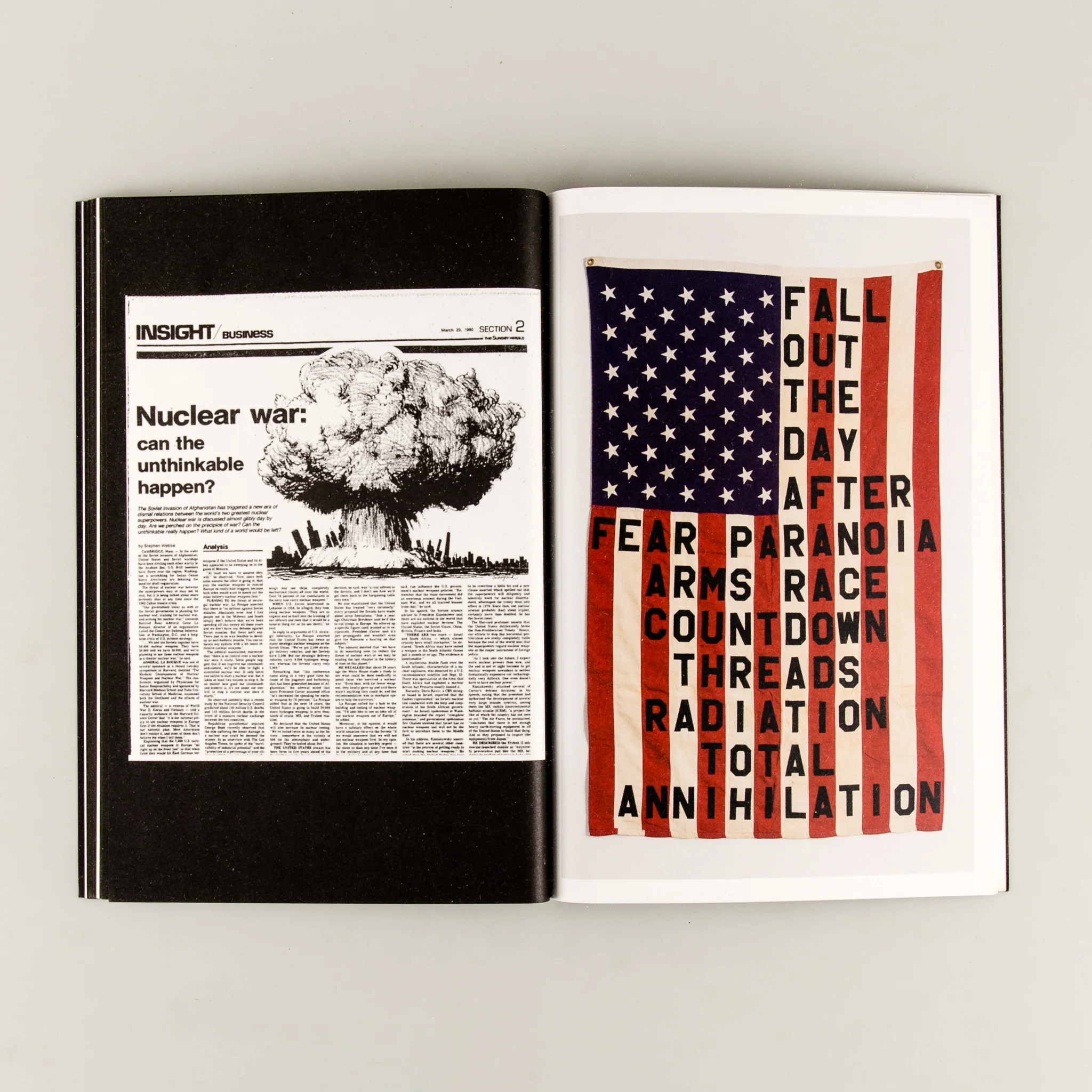 29 Flags - Image 6