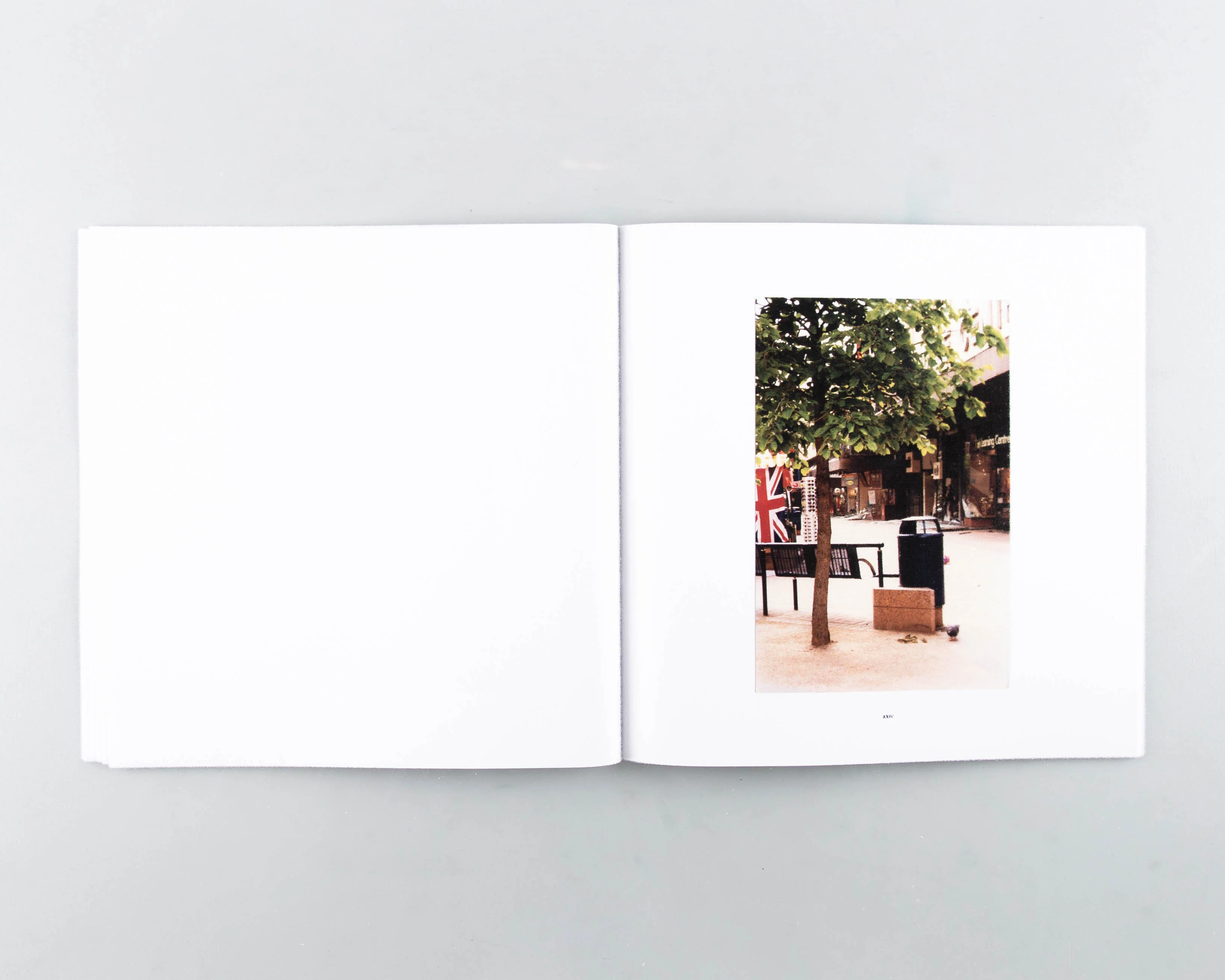 3300 - Image 6