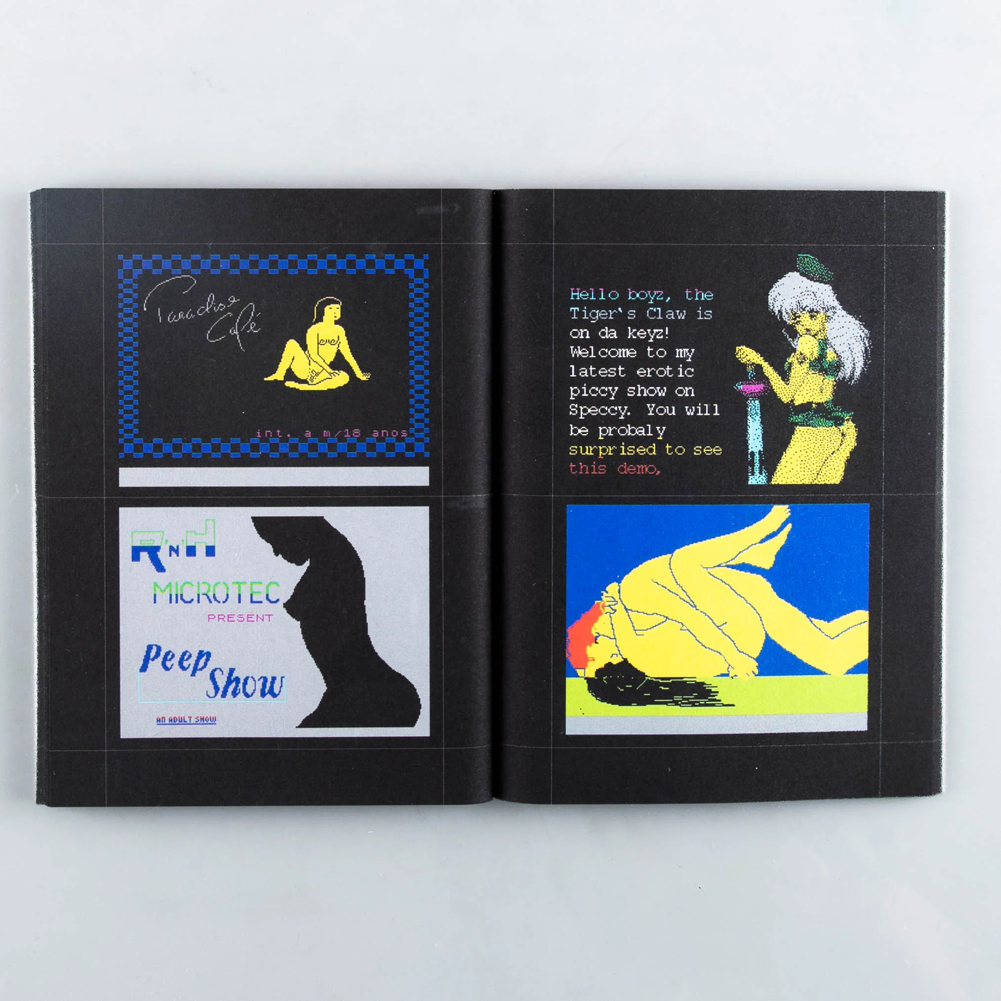 8-Bit Porn Video Games (1980-2020) - Image 2