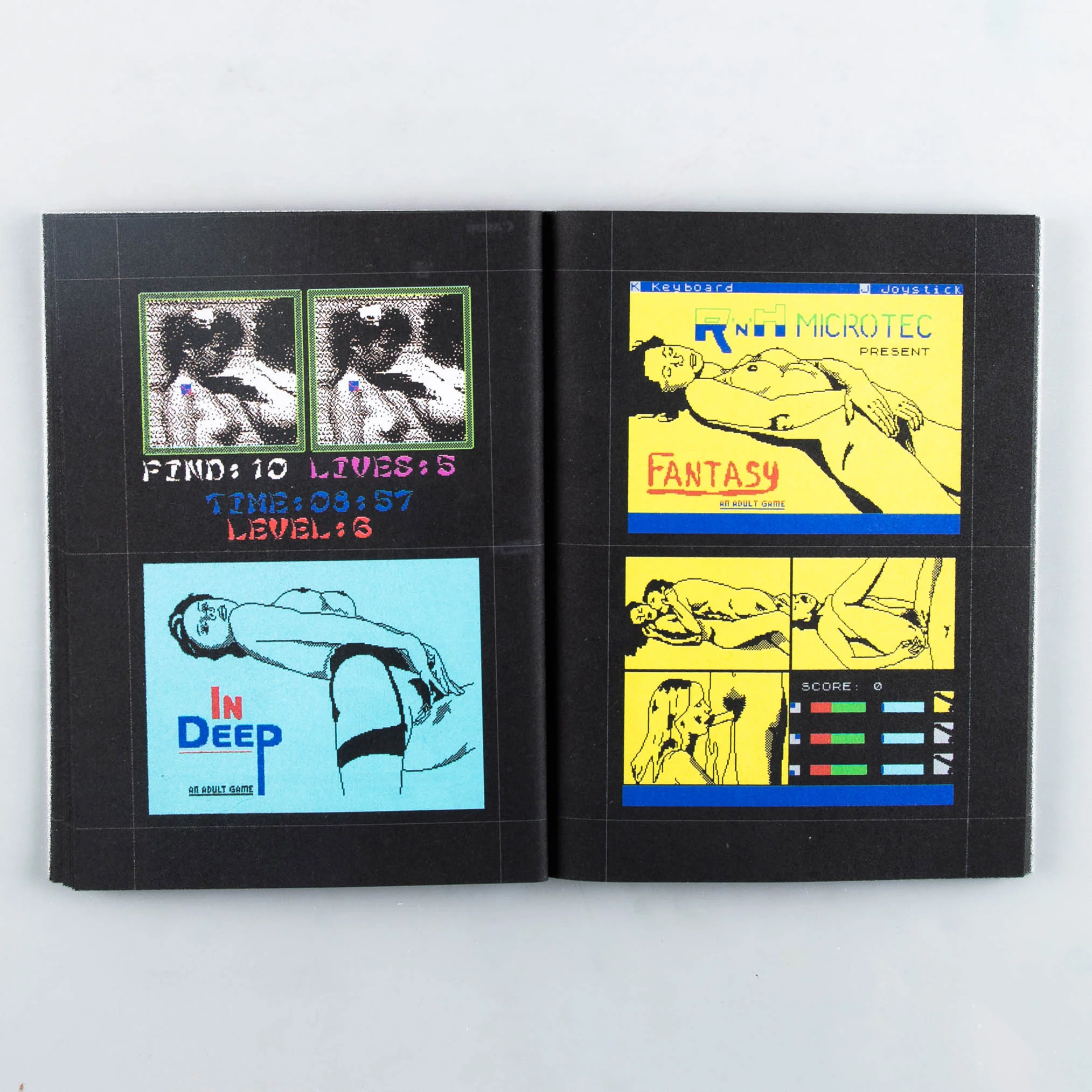 8-Bit Porn Video Games (1980-2020) - Image 4