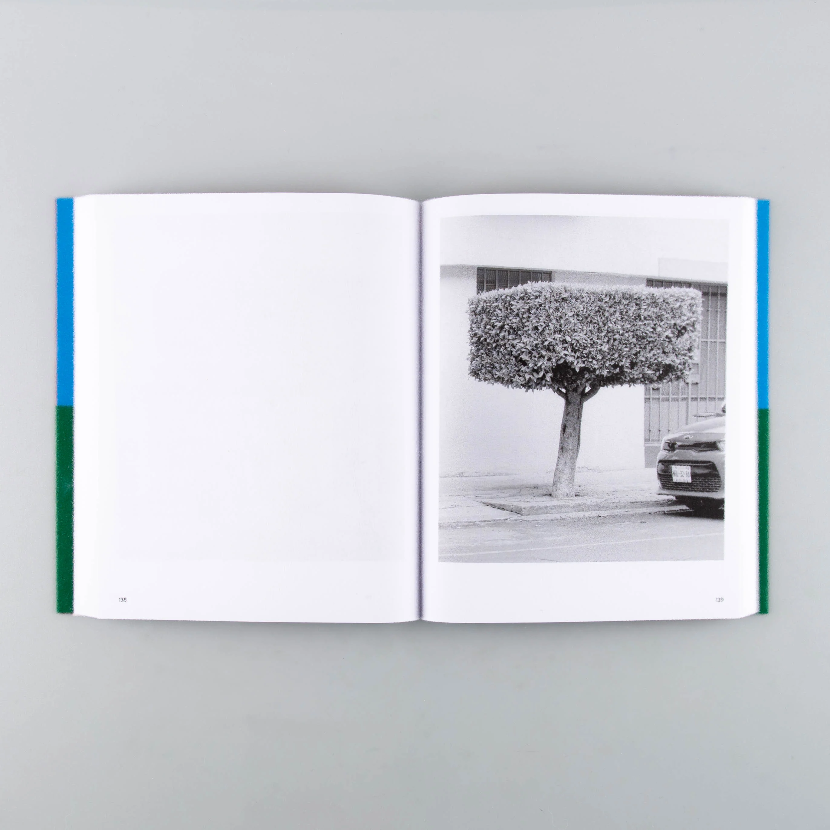 A Guide on Gardening - Image 2
