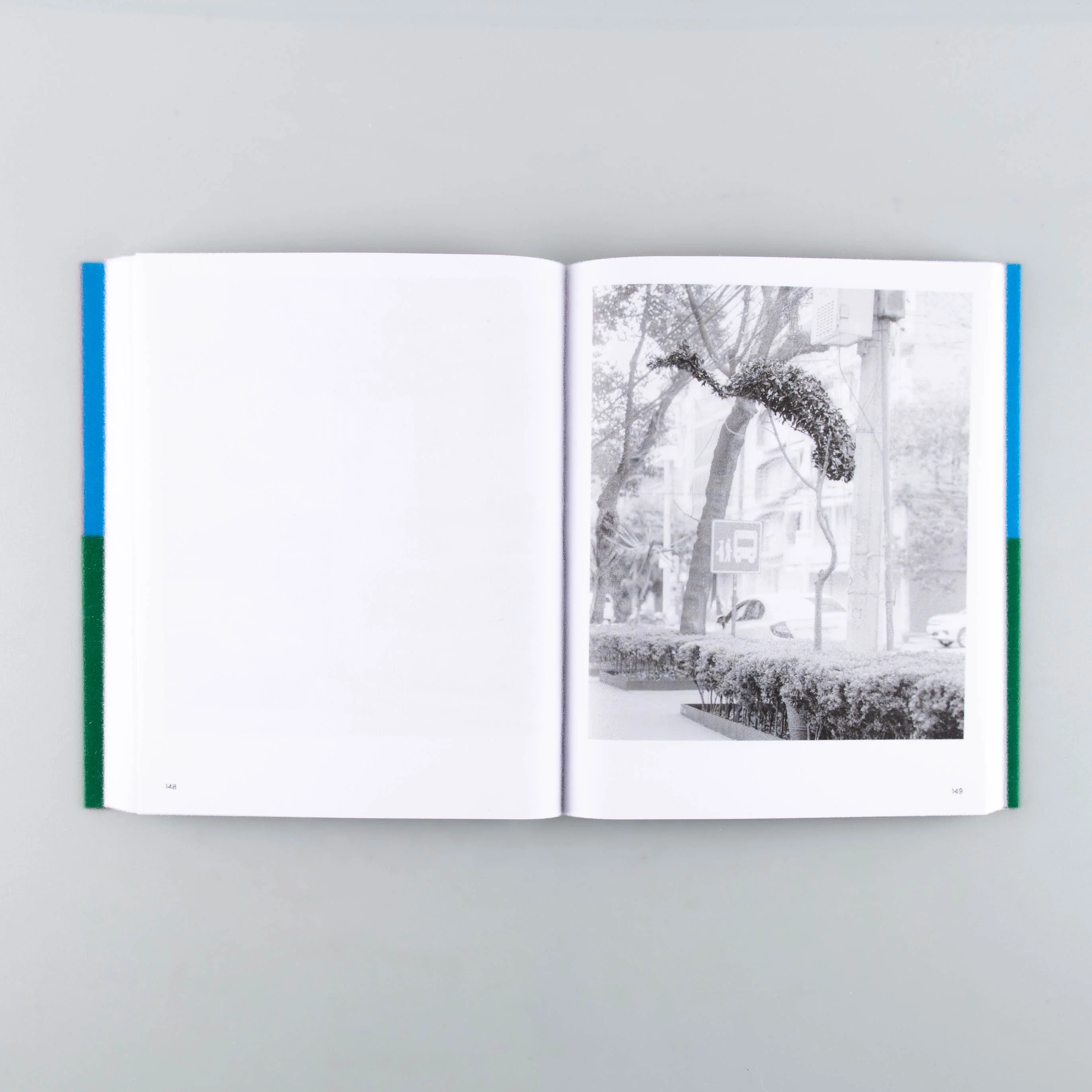 A Guide on Gardening - Image 3