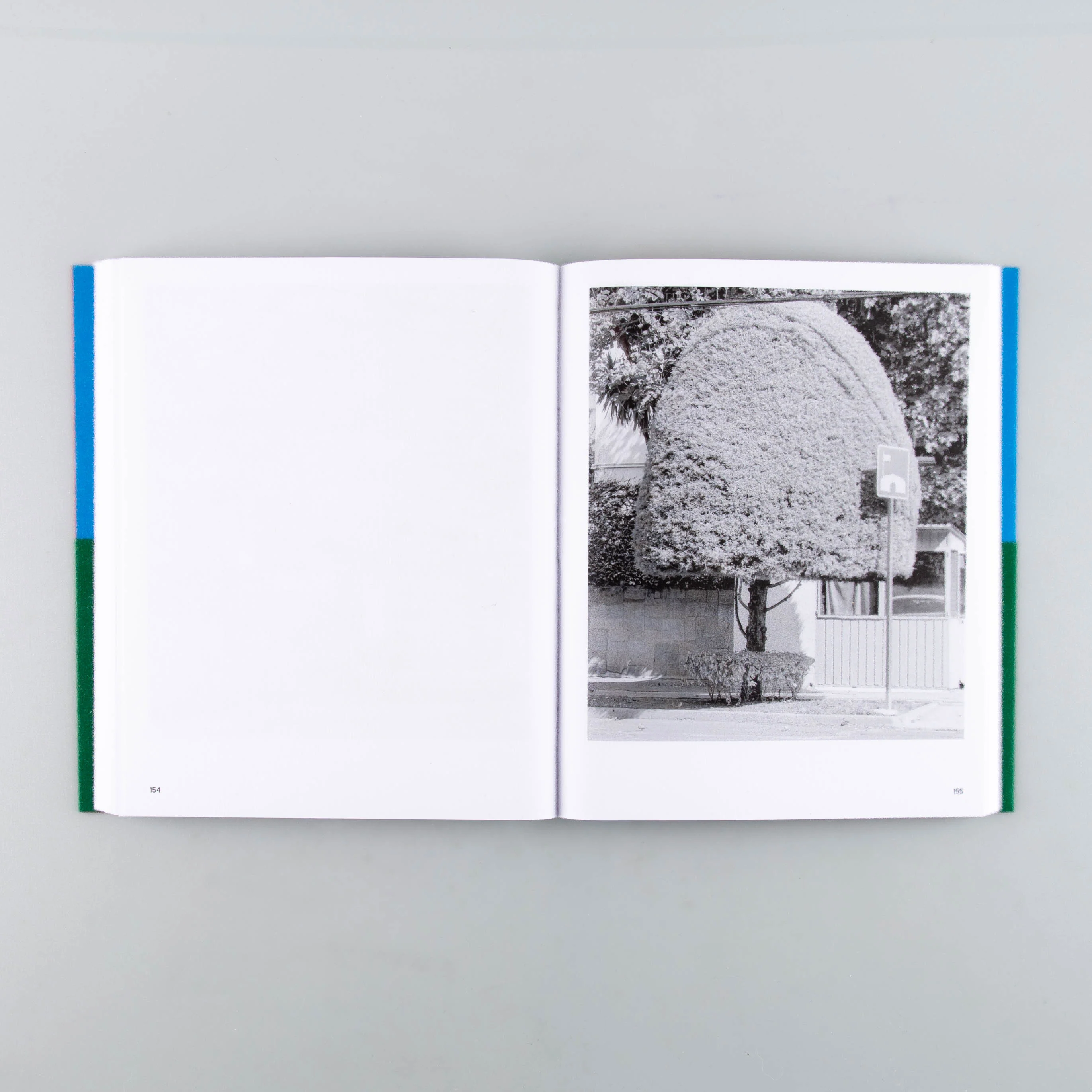 A Guide on Gardening - Image 4