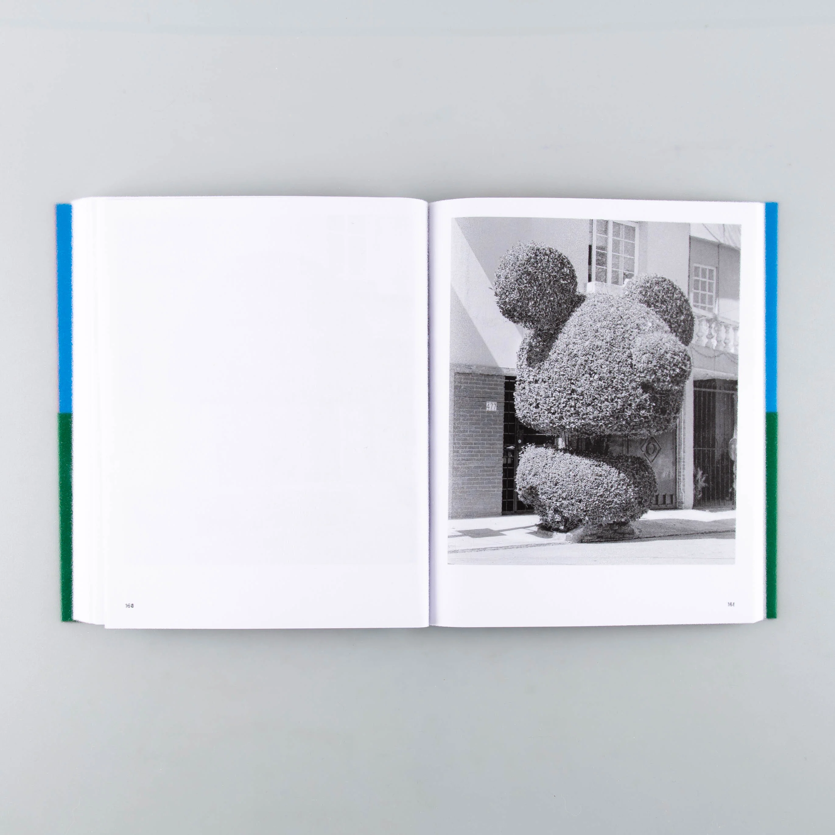 A Guide on Gardening - Image 5