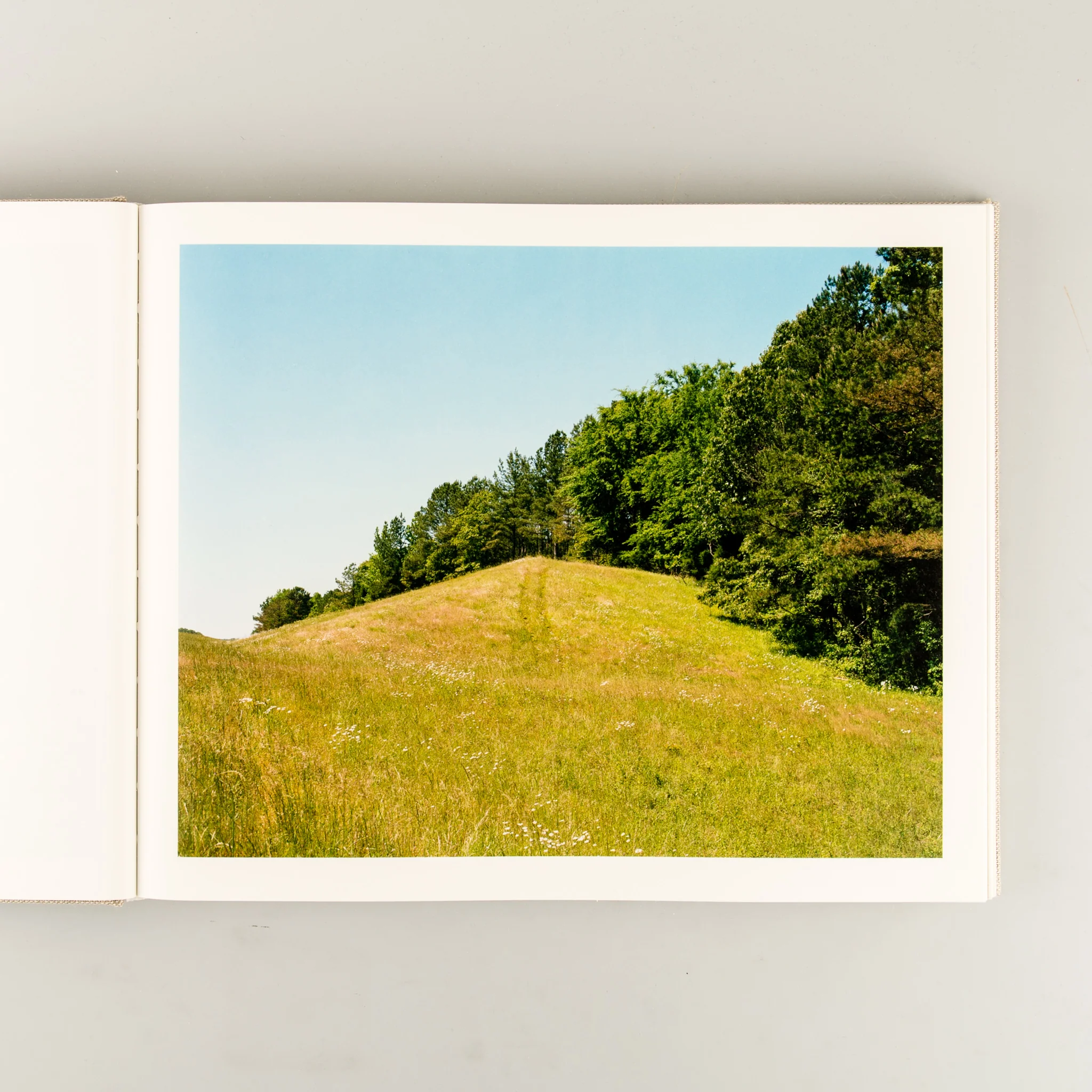 A Pound of Pictures (Signed) - Image 2