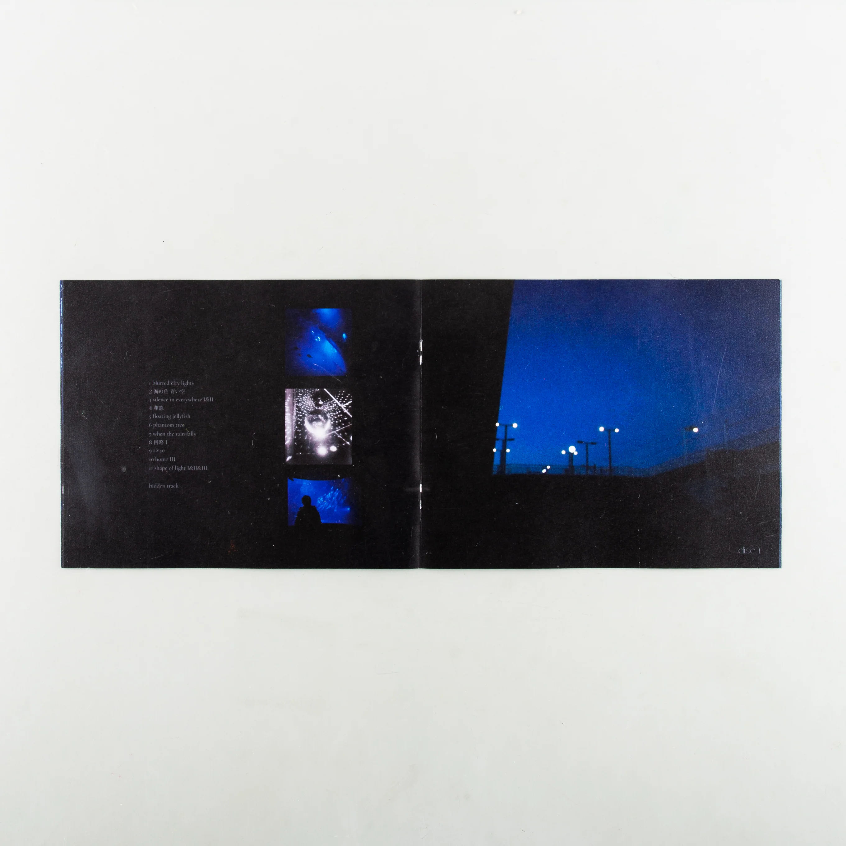 After the Blue - Image 3