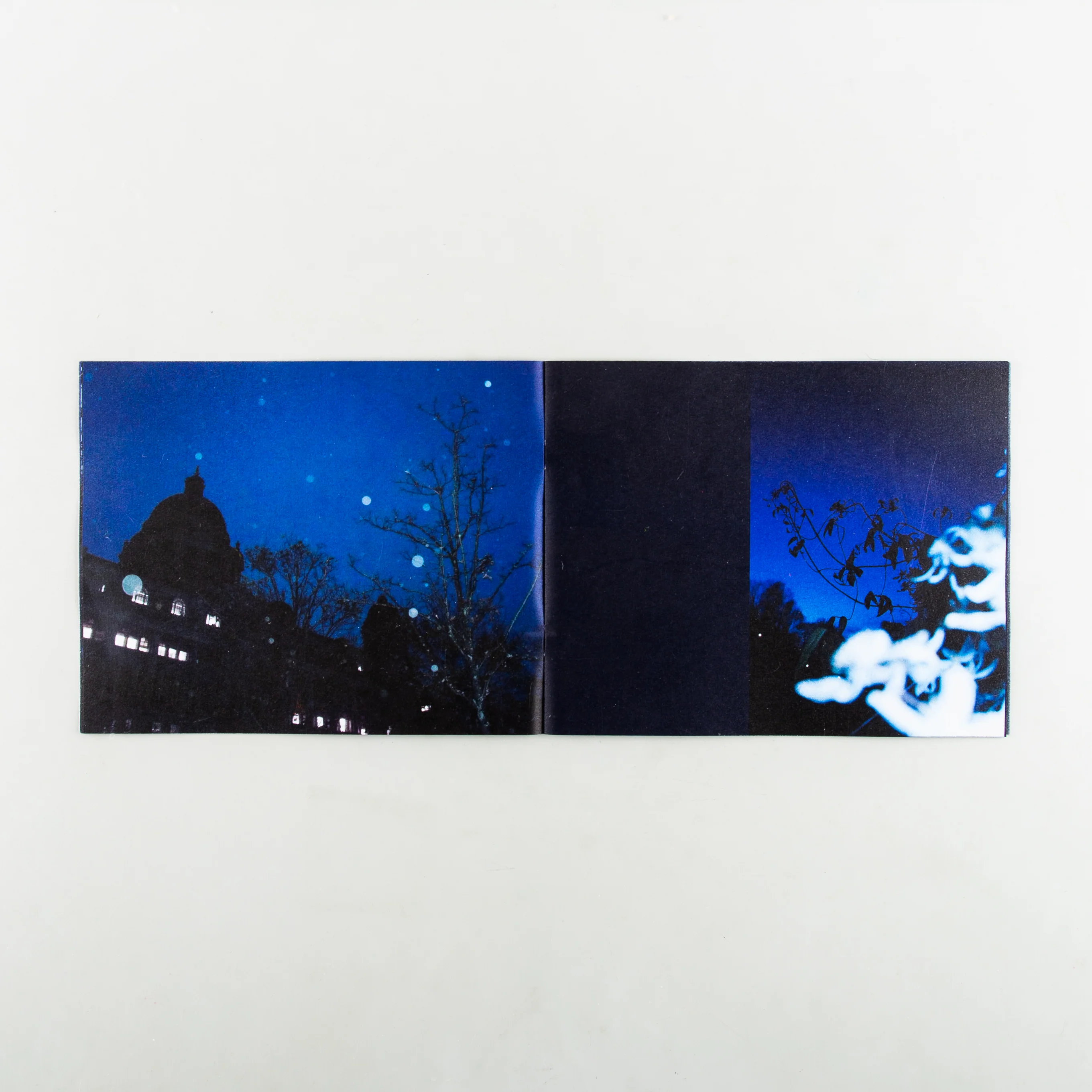 After the Blue - Image 4