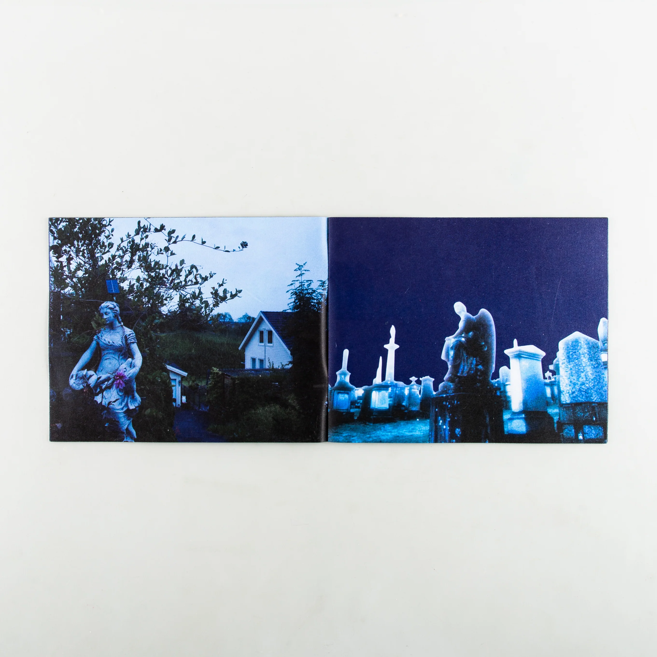 After the Blue - Image 6