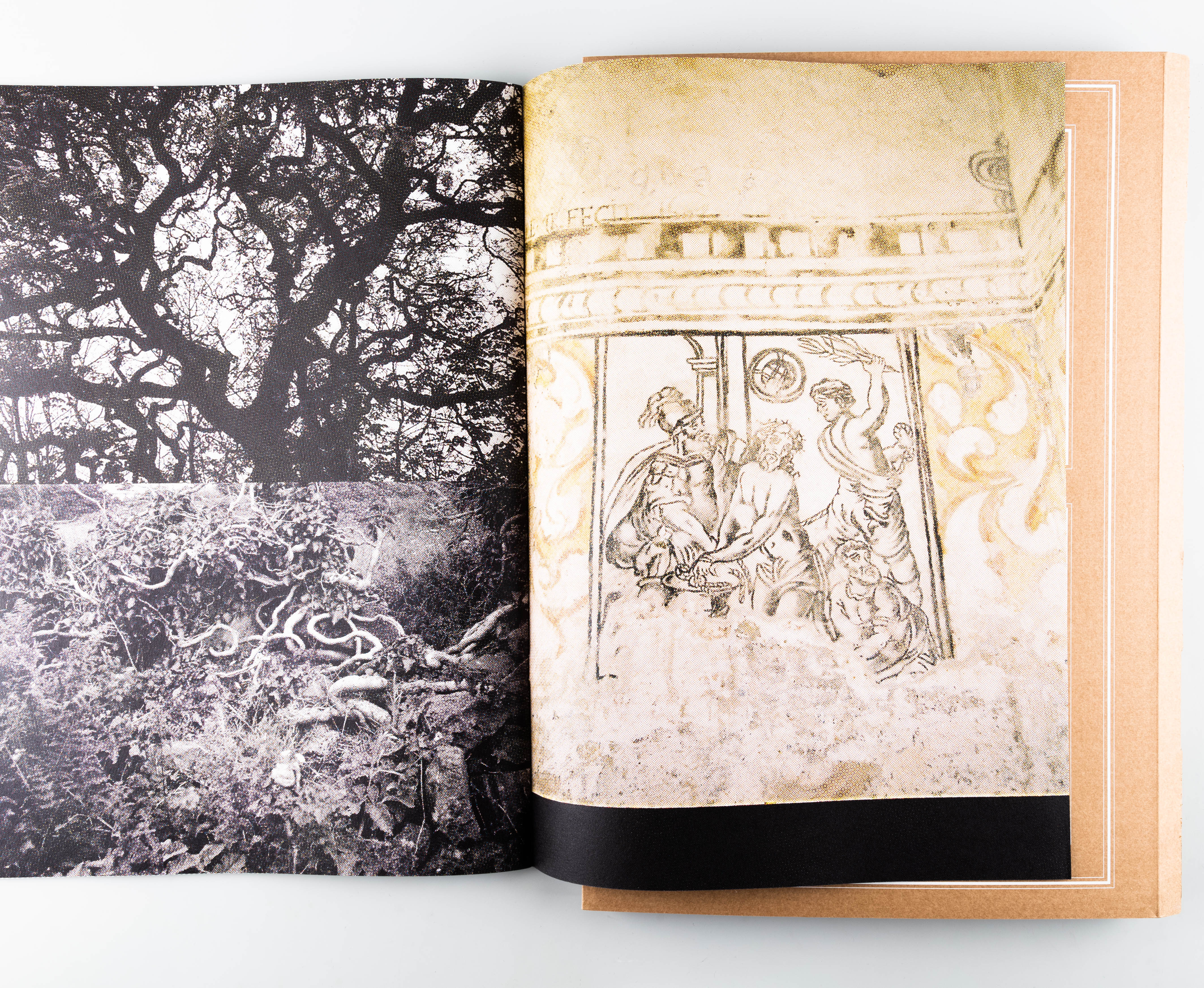 Afternoon's Darkness - Image 7