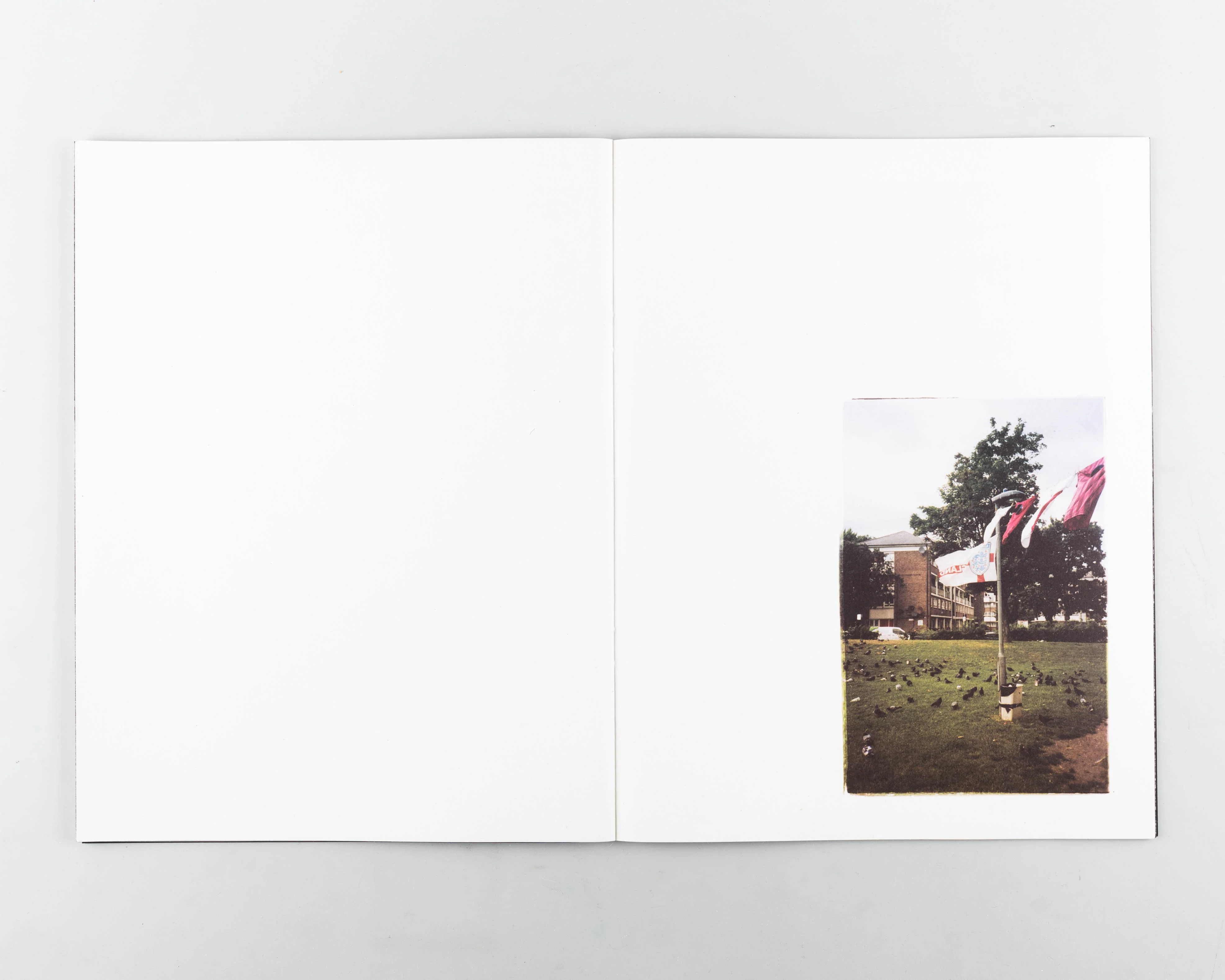 Alright, Sunshine - Image 3