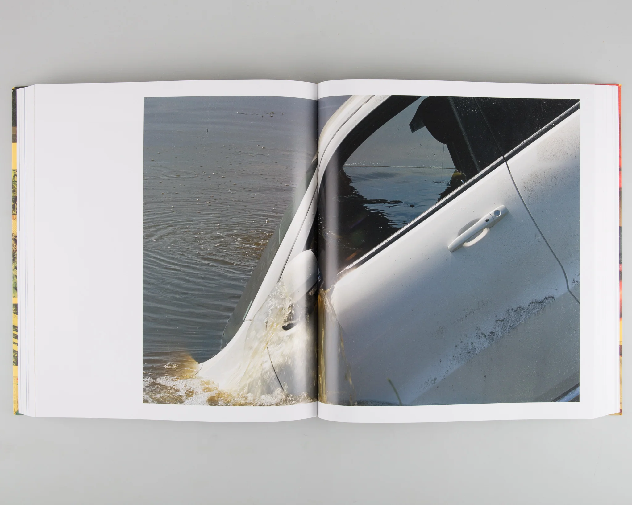 AMERICAN POLYCHRONIC (SIGNED) - Image 4
