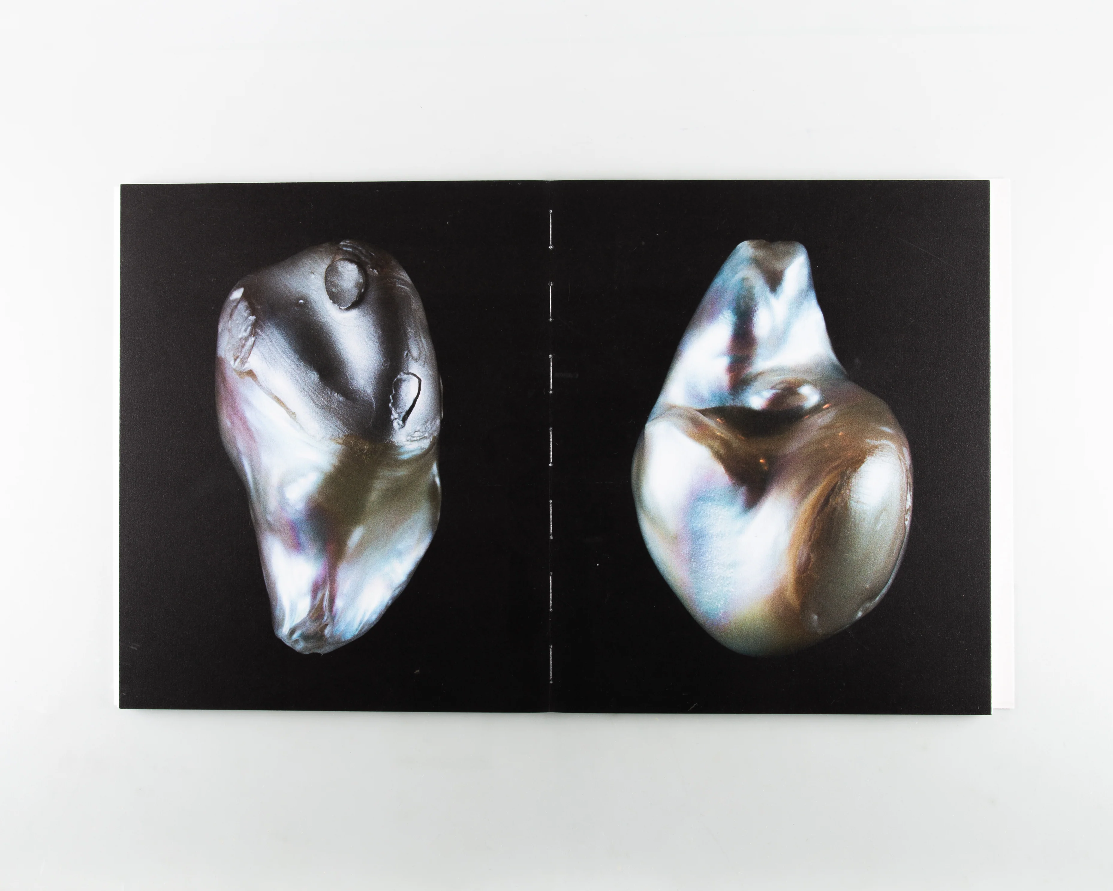 Anatomy of an Oyster - Image 5