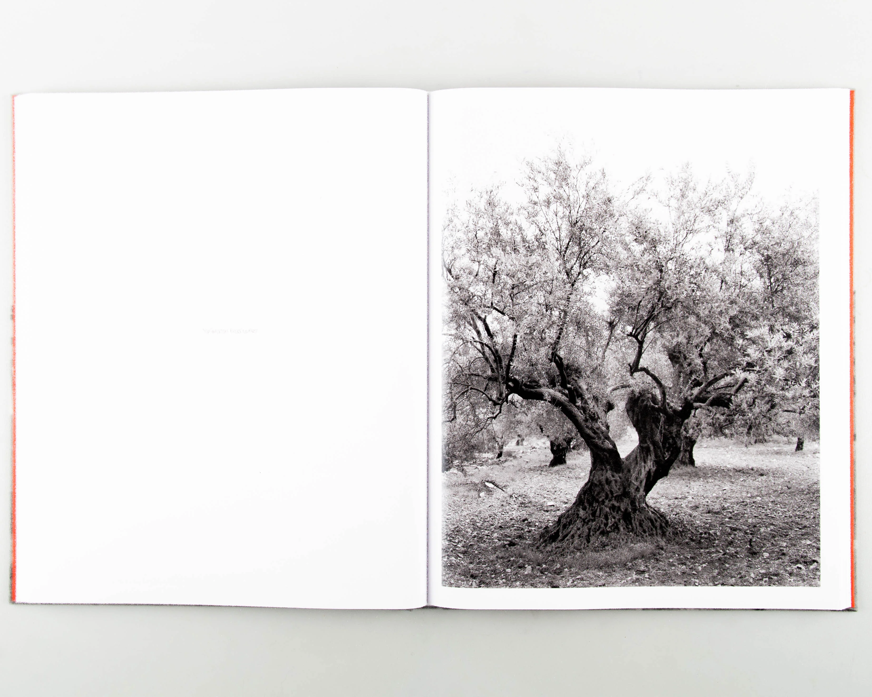 Anchor in the Landscape - Image 4