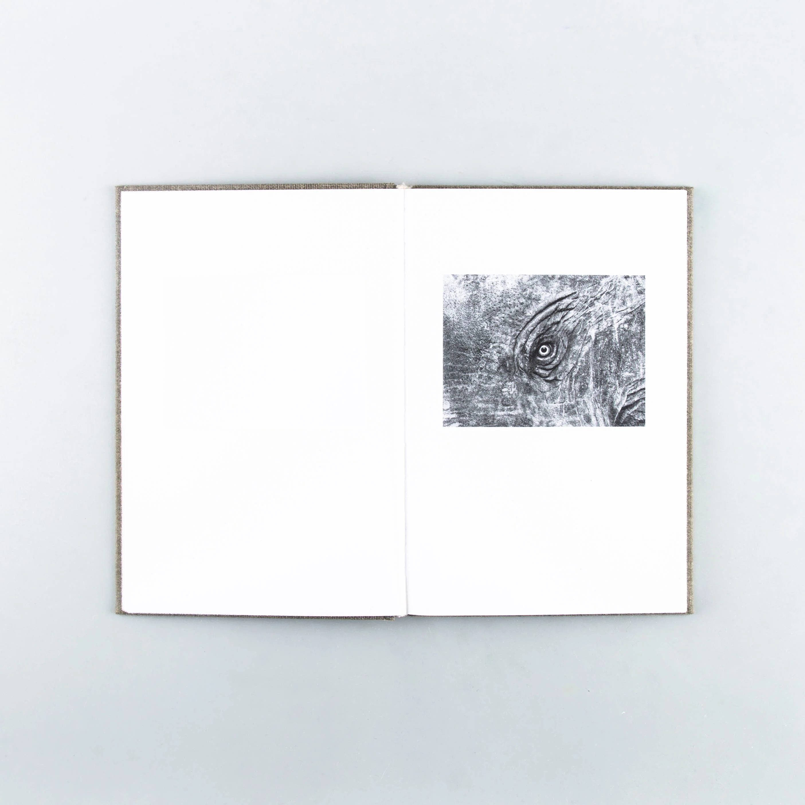 Another Language - Image 6