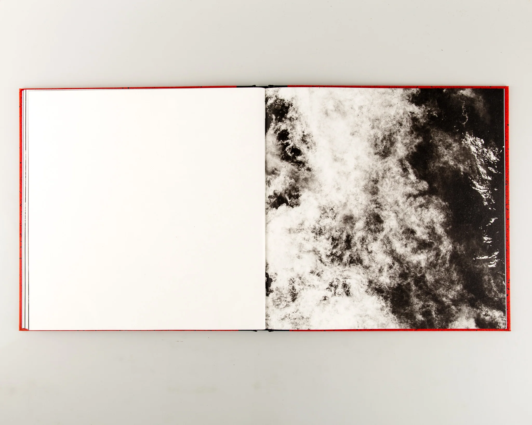 Apiary - Image 7