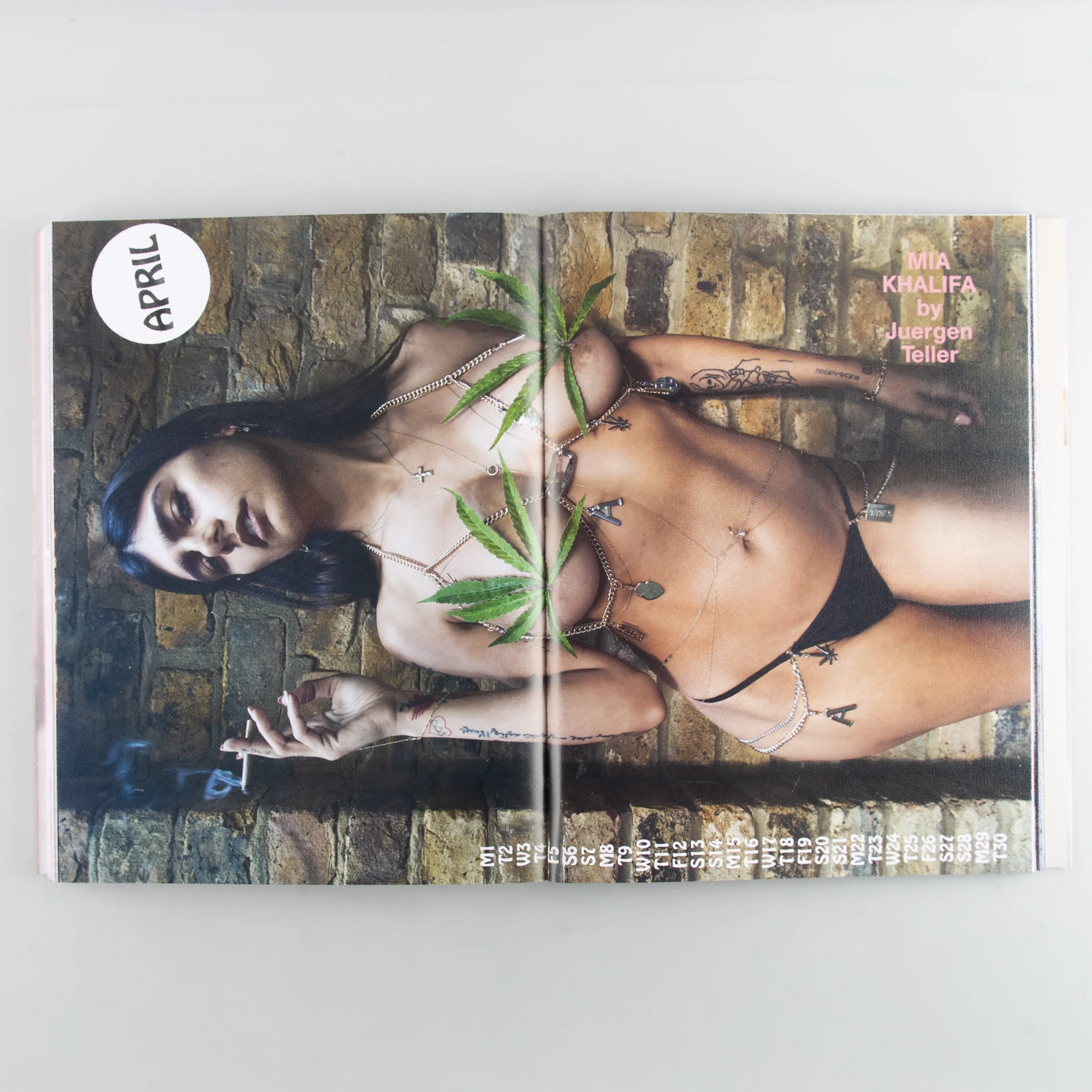 Aries Arise Archive - Image 7