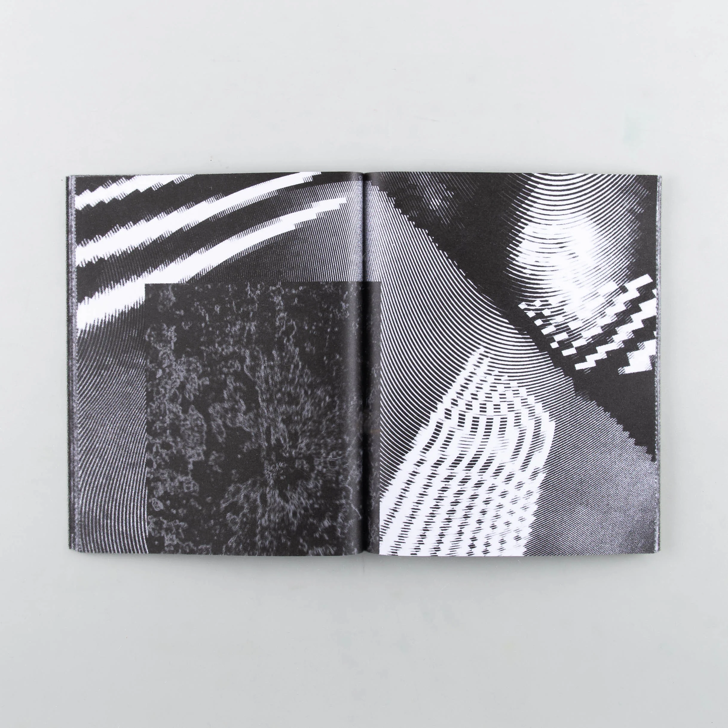Arkive Yellow - Image 4