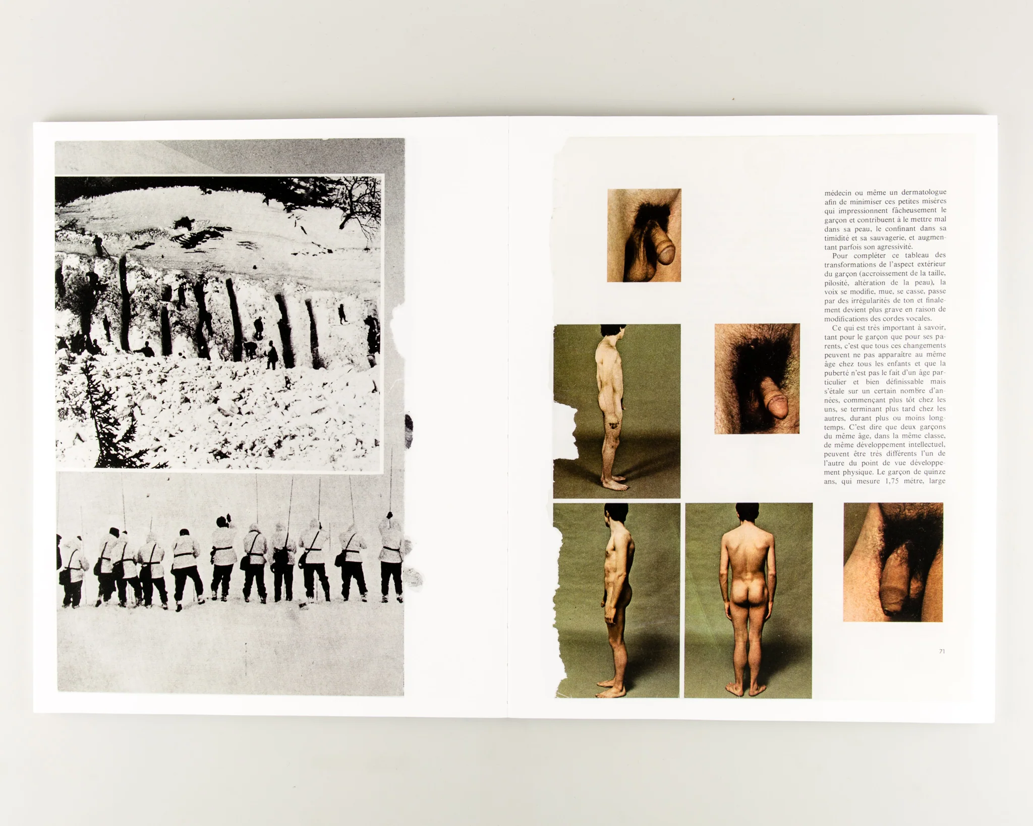 Arrangements - Image 7