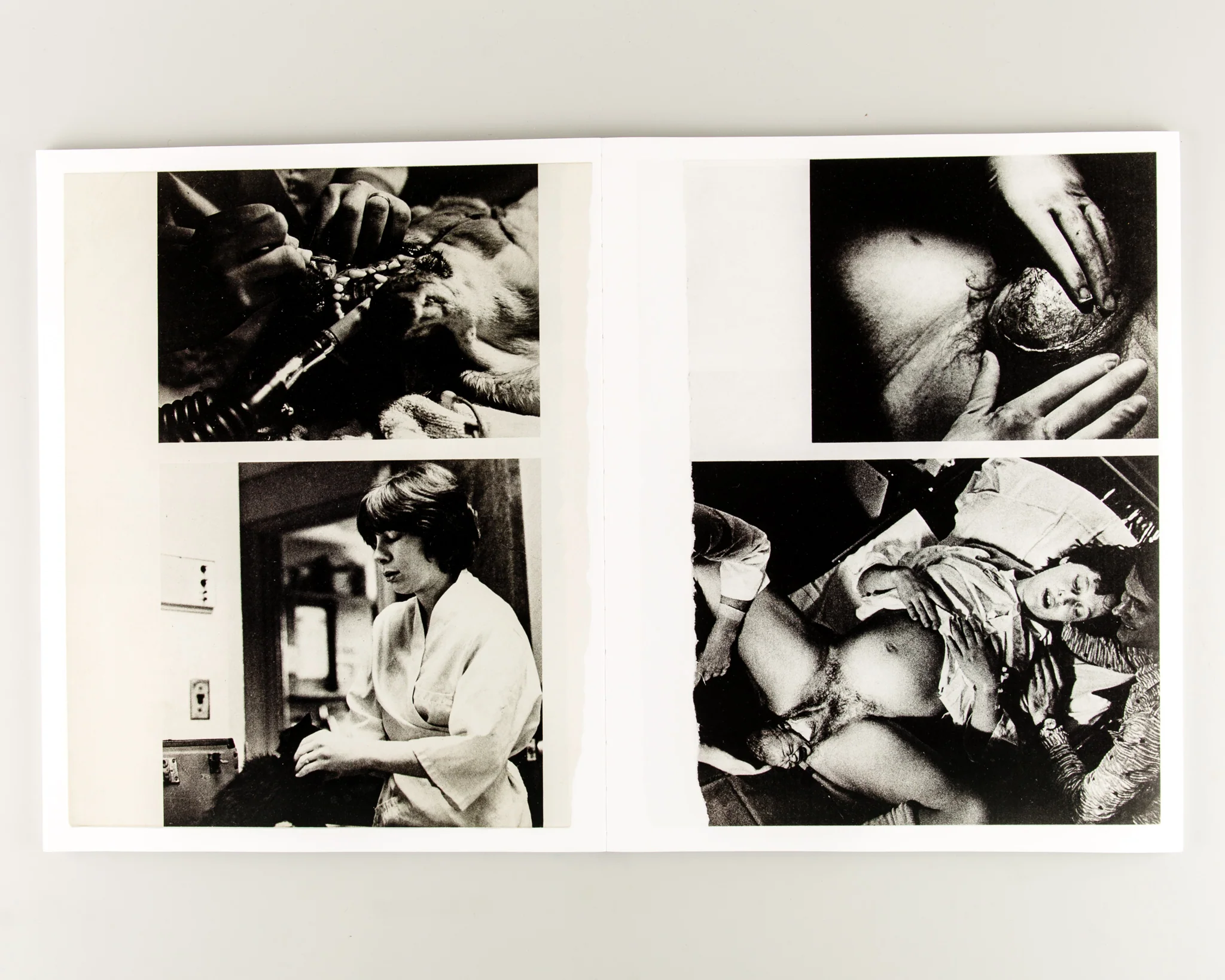 Arrangements - Image 8