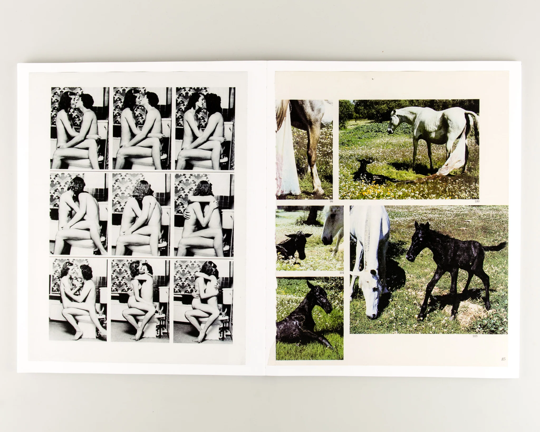 Arrangements - Image 9