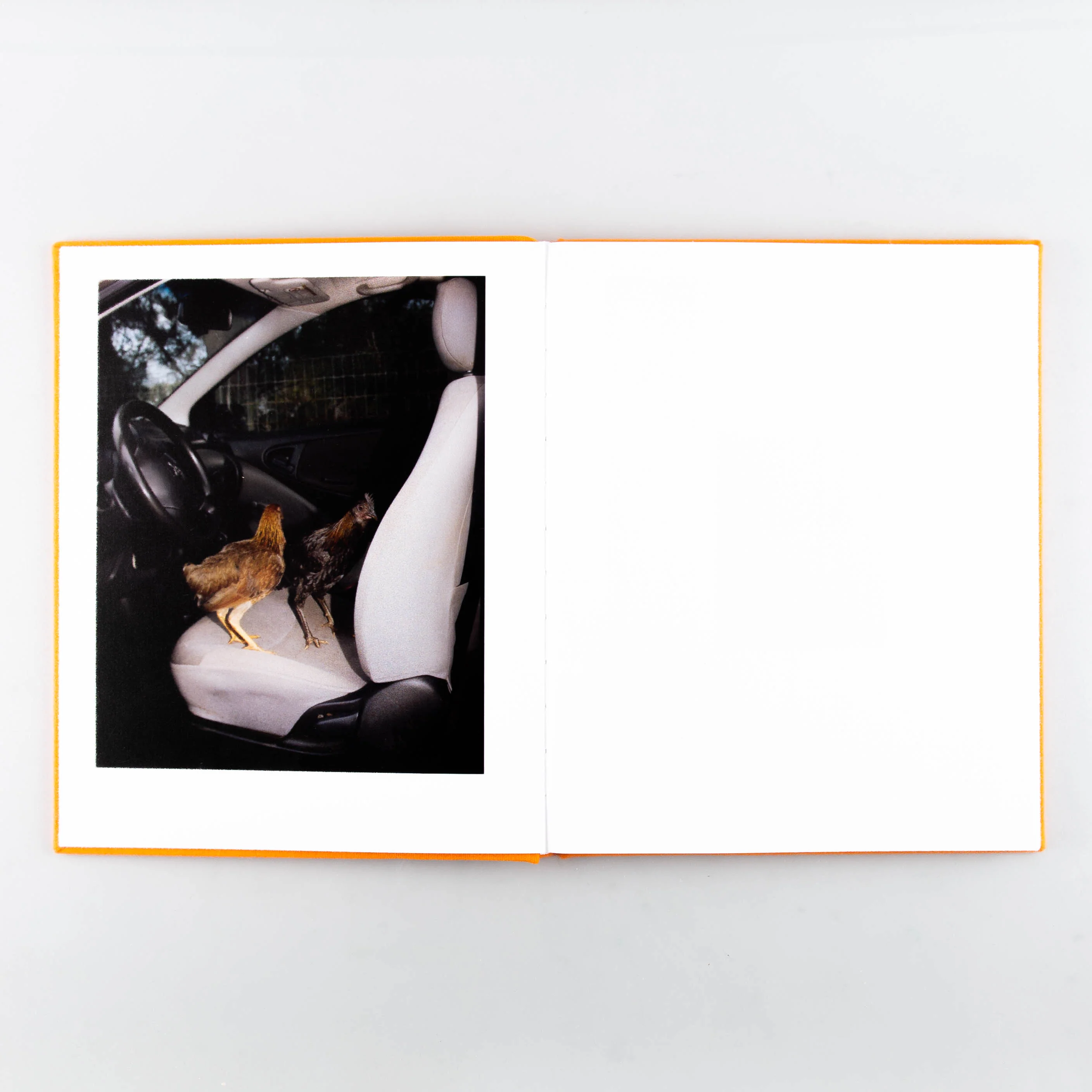 Assembly - Image 2