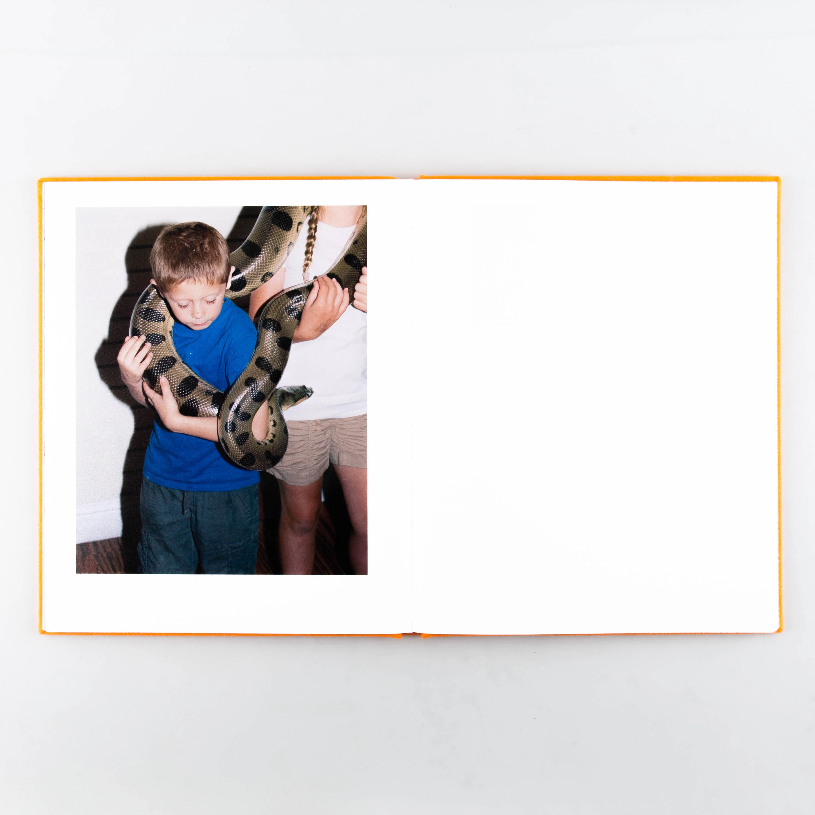 Assembly - Image 6