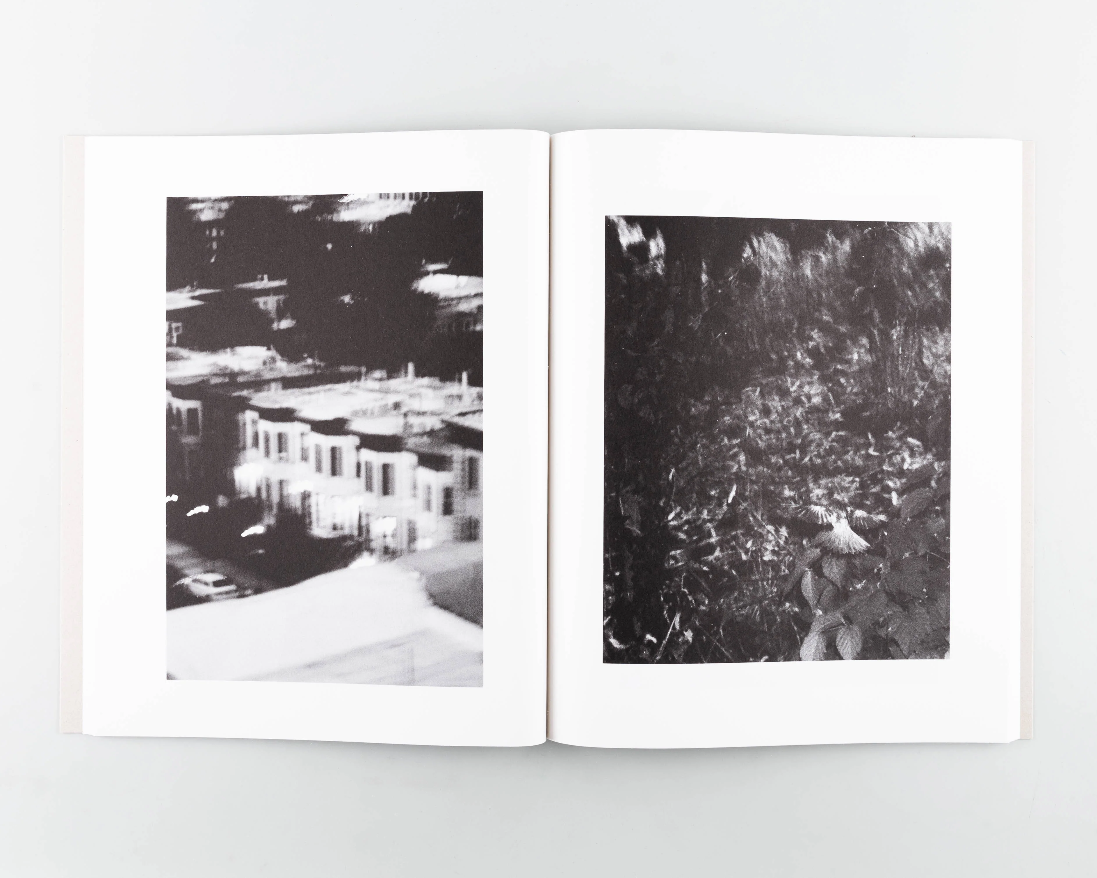 AUGURY - Image 2