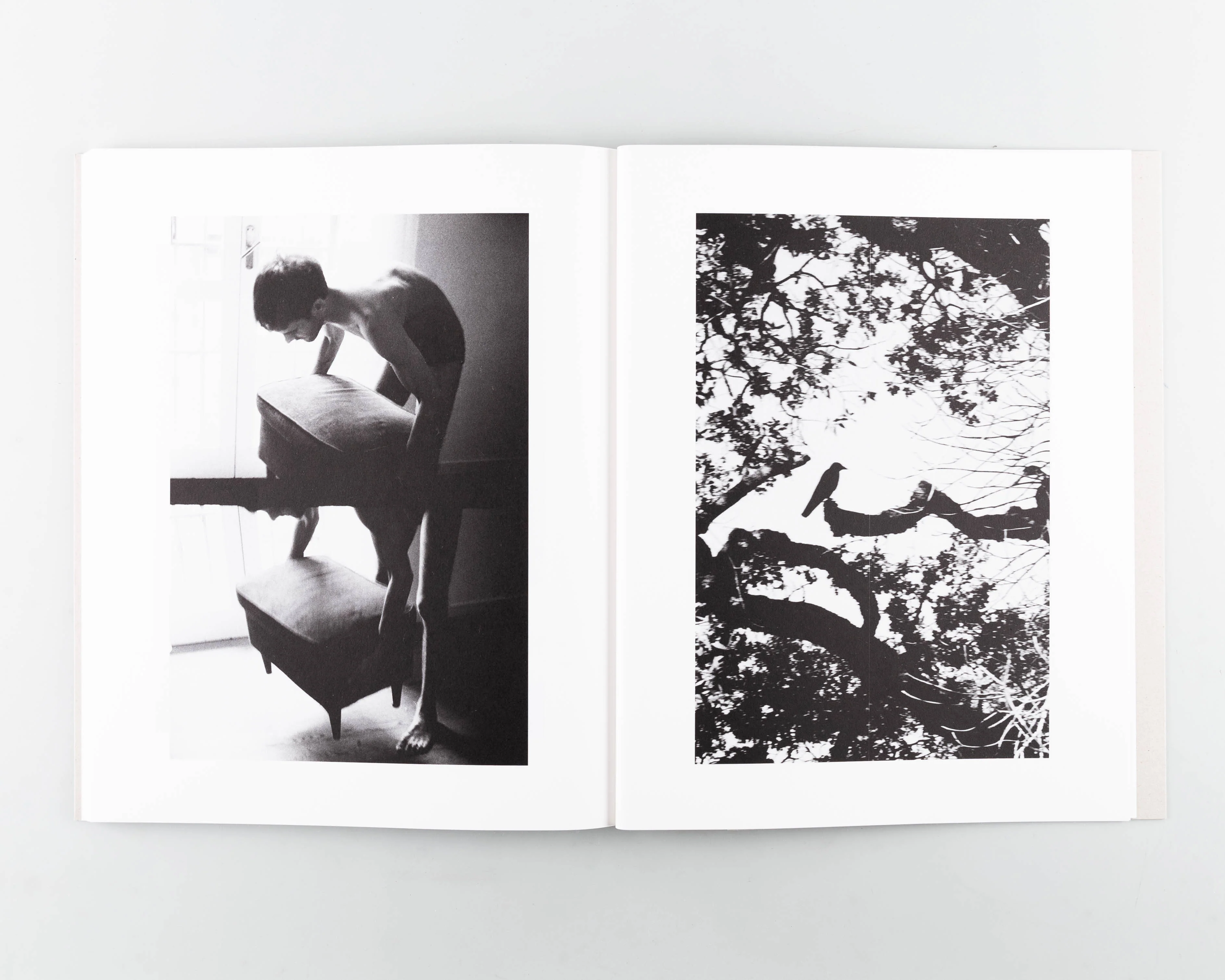 AUGURY - Image 8