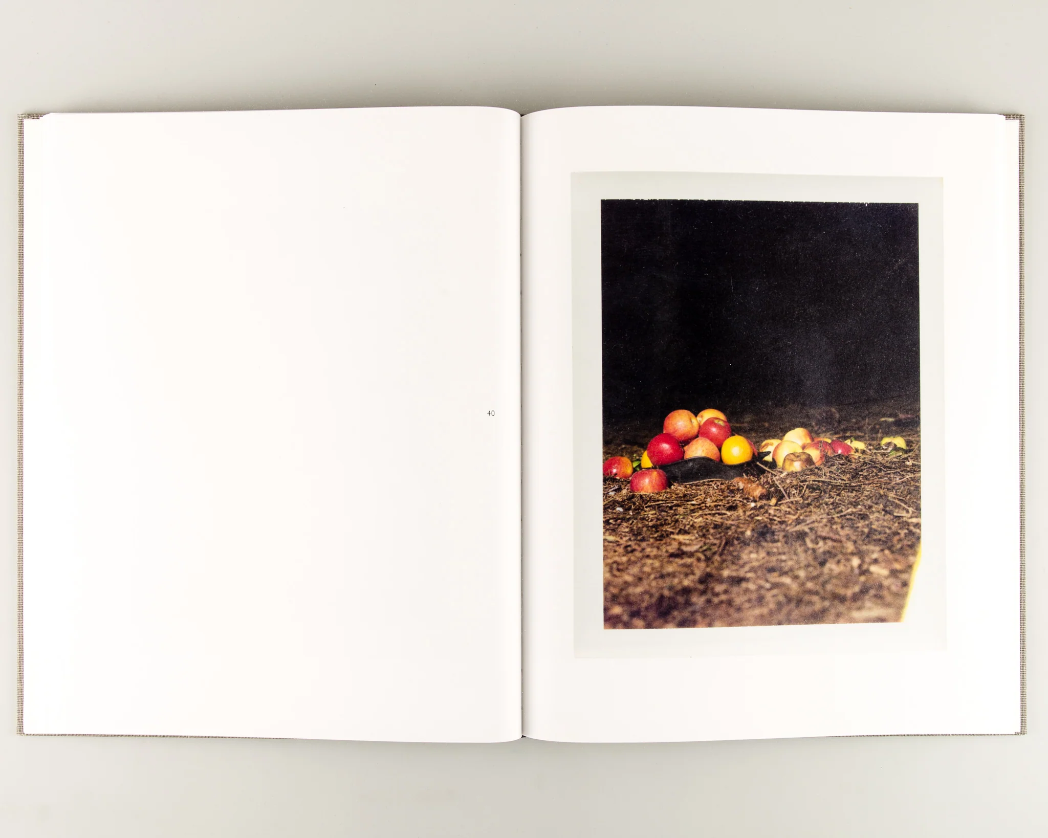 August - Image 5