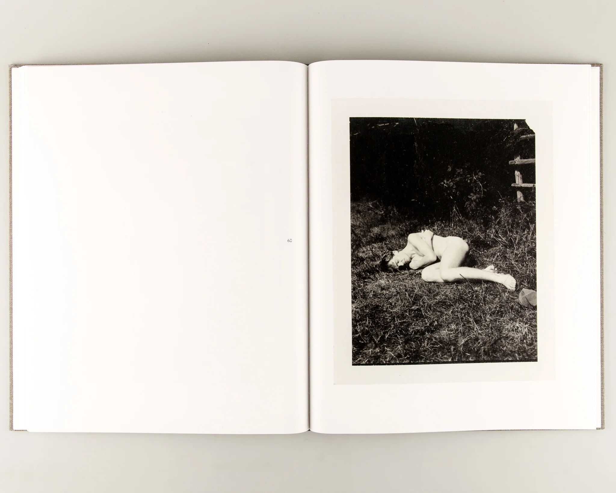 August - Image 6
