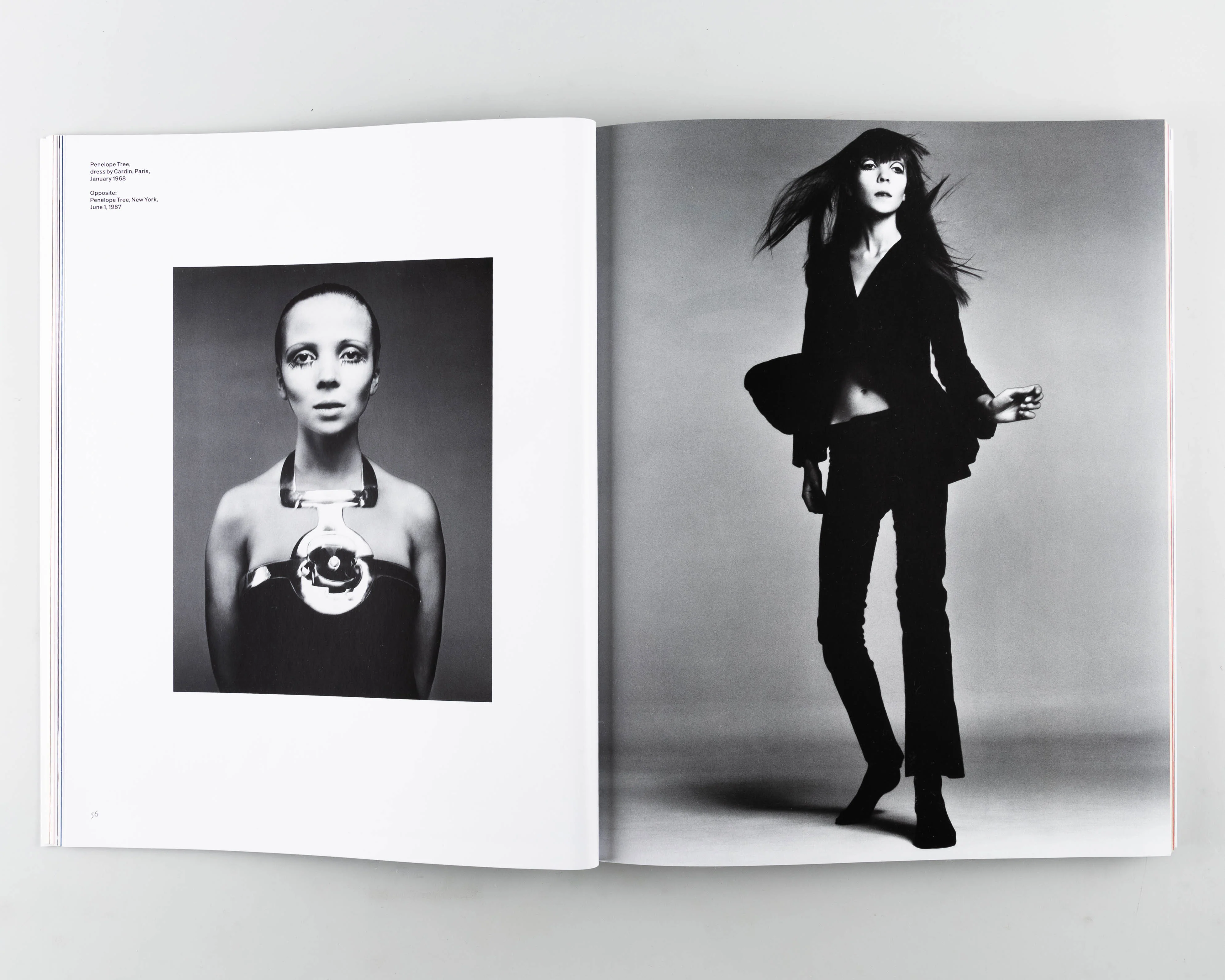 Avedon 100 - Image 4