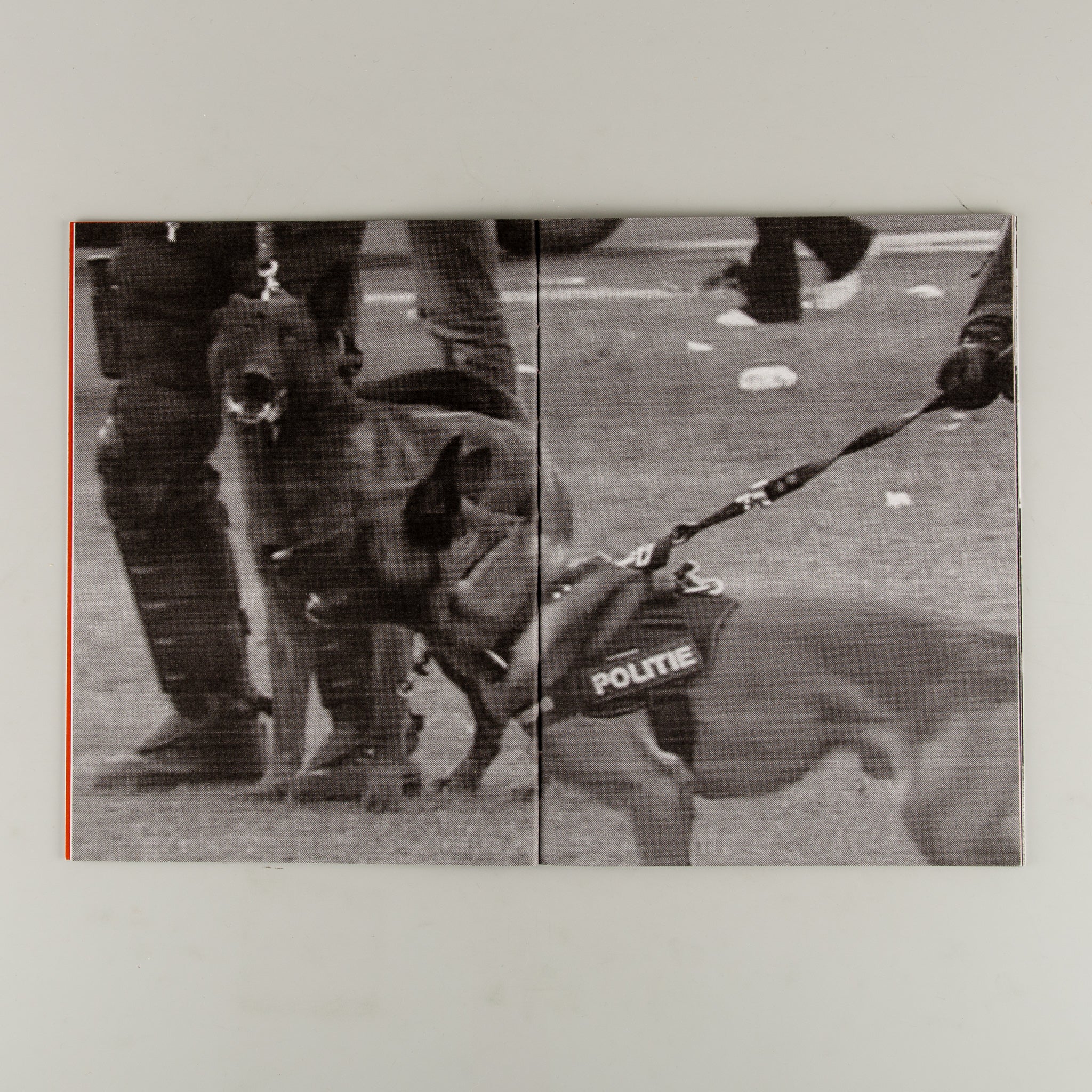 AVONDKLOK - Image 3