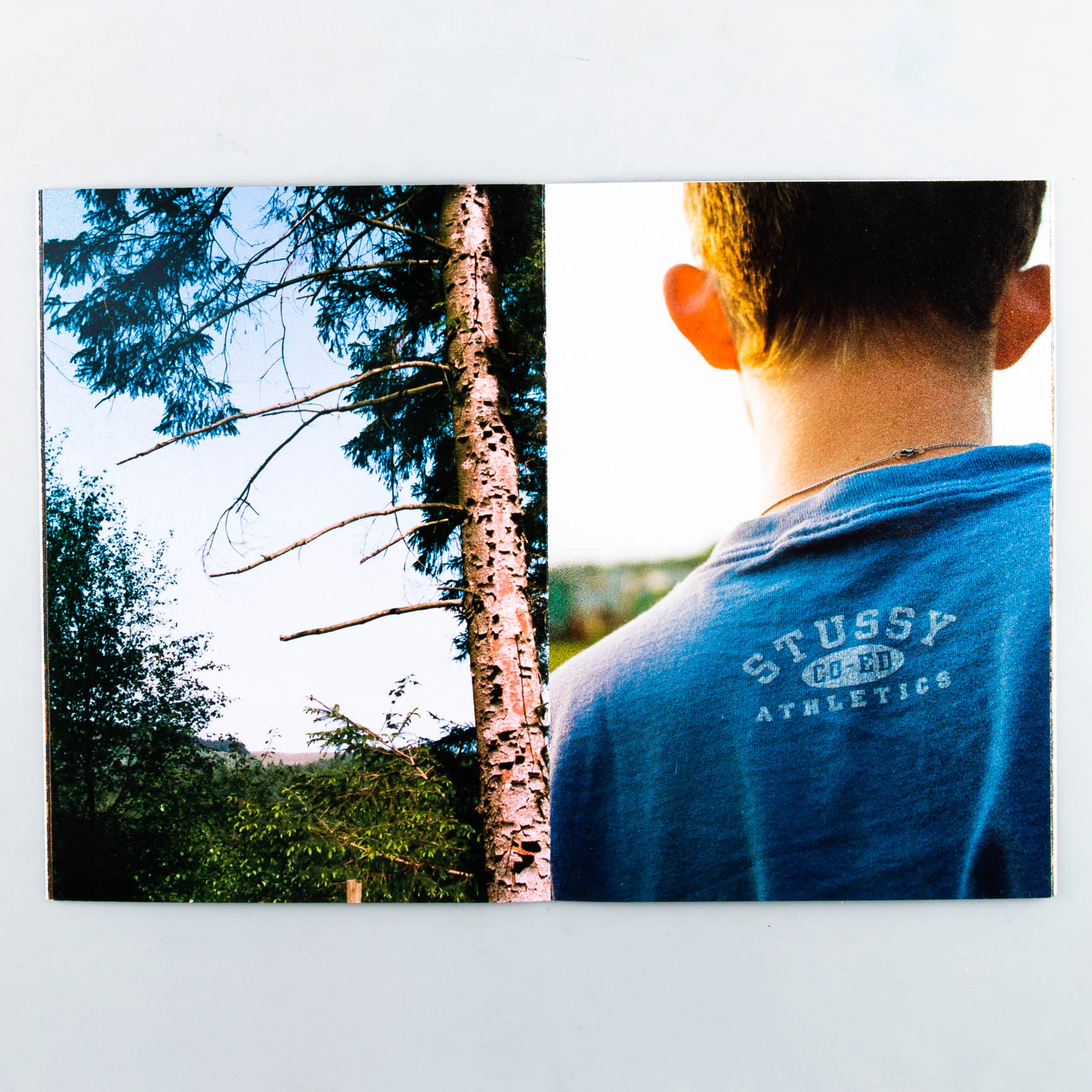 Baby Blue - Image 5