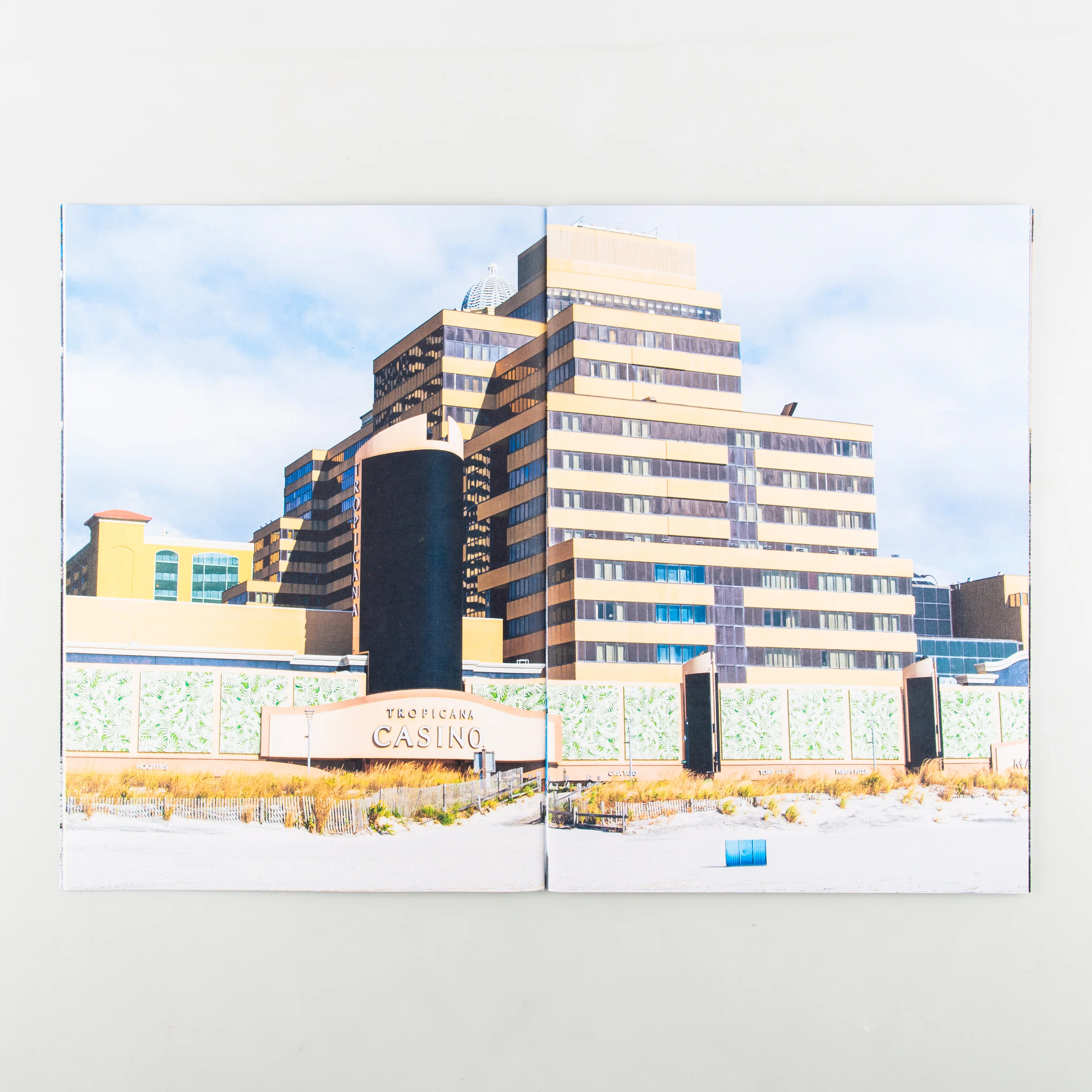 Backyard Diaries Vol.3 (Signed) - Image 10