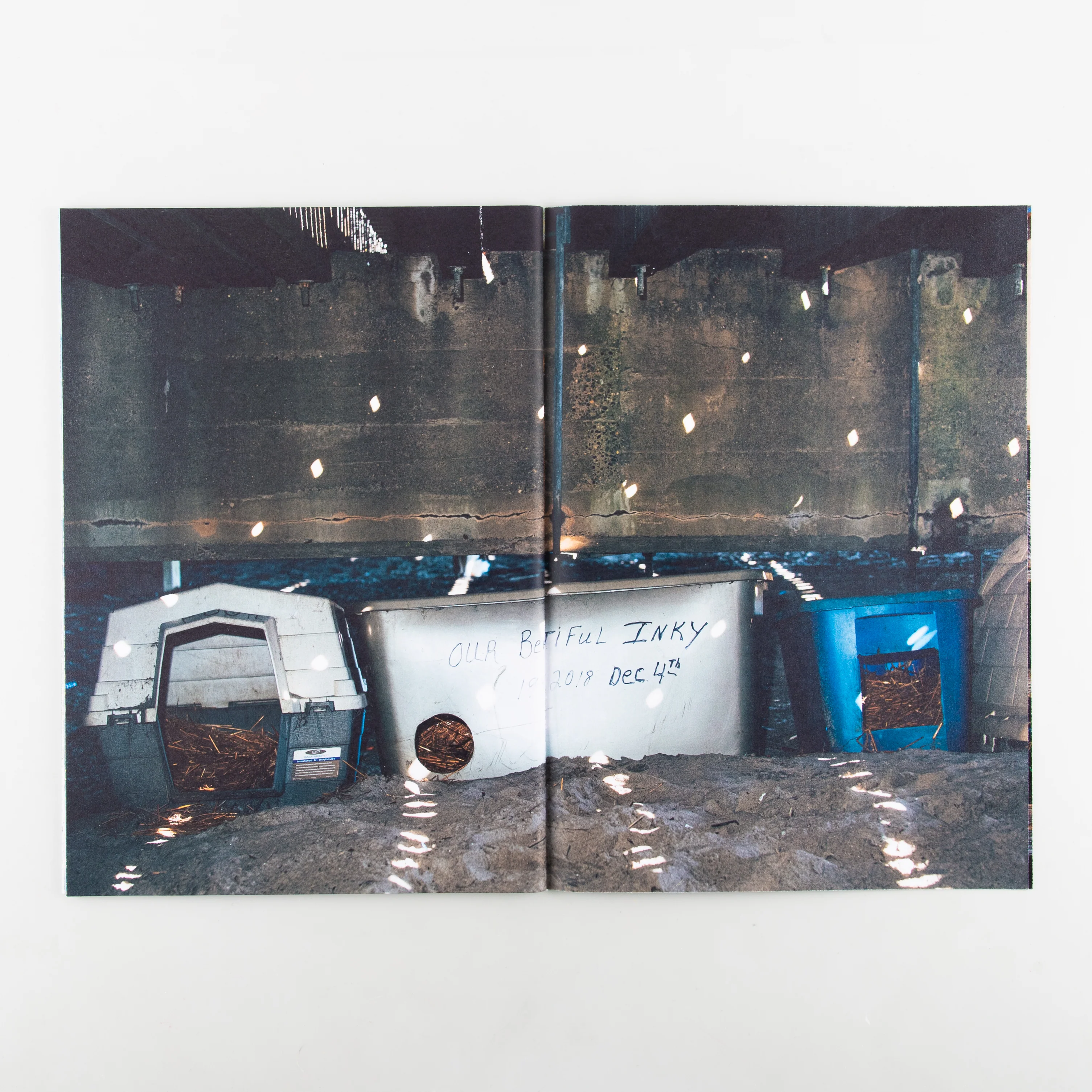 Backyard Diaries Vol.3 (Signed) - Image 4