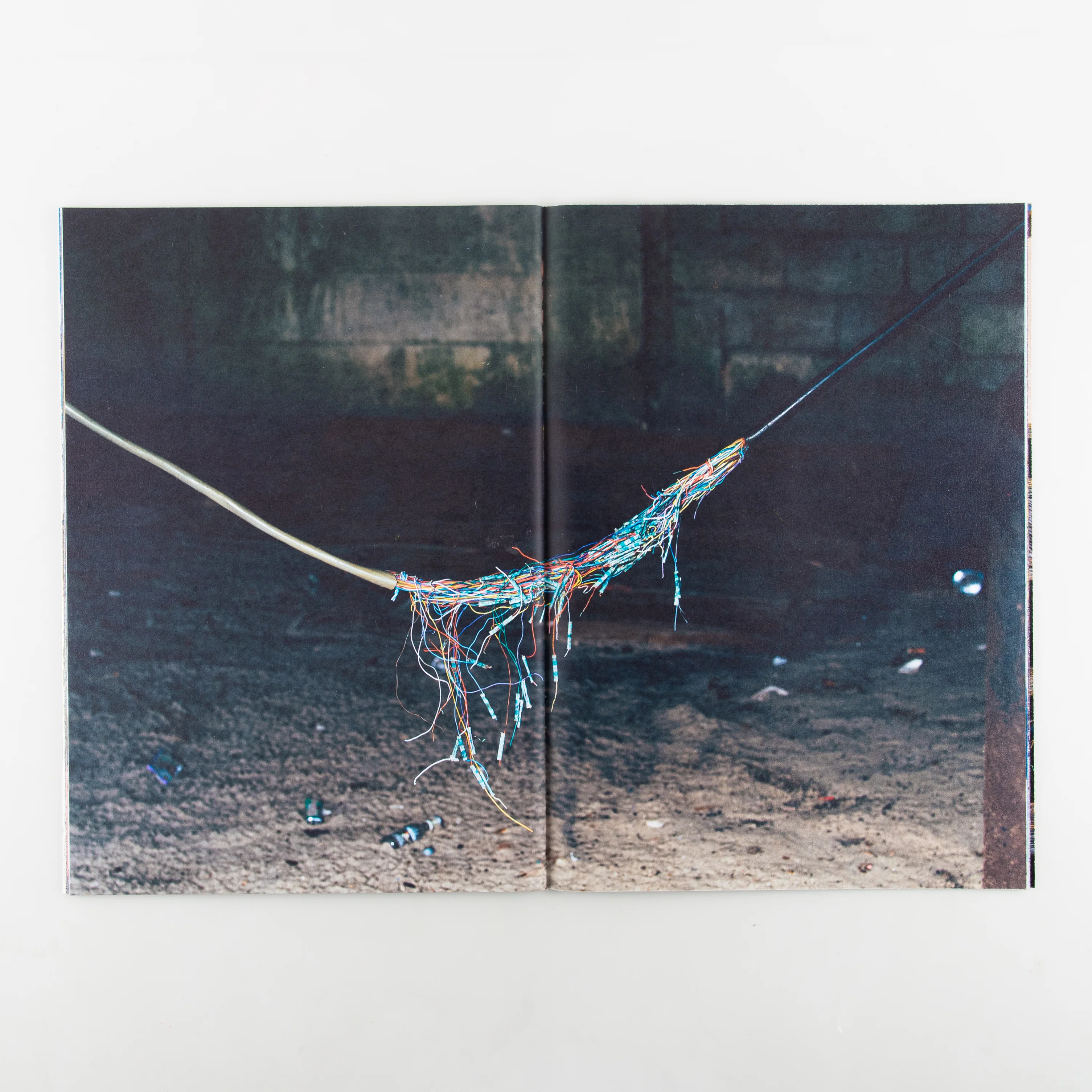 Backyard Diaries Vol.3 (Signed) - Image 6
