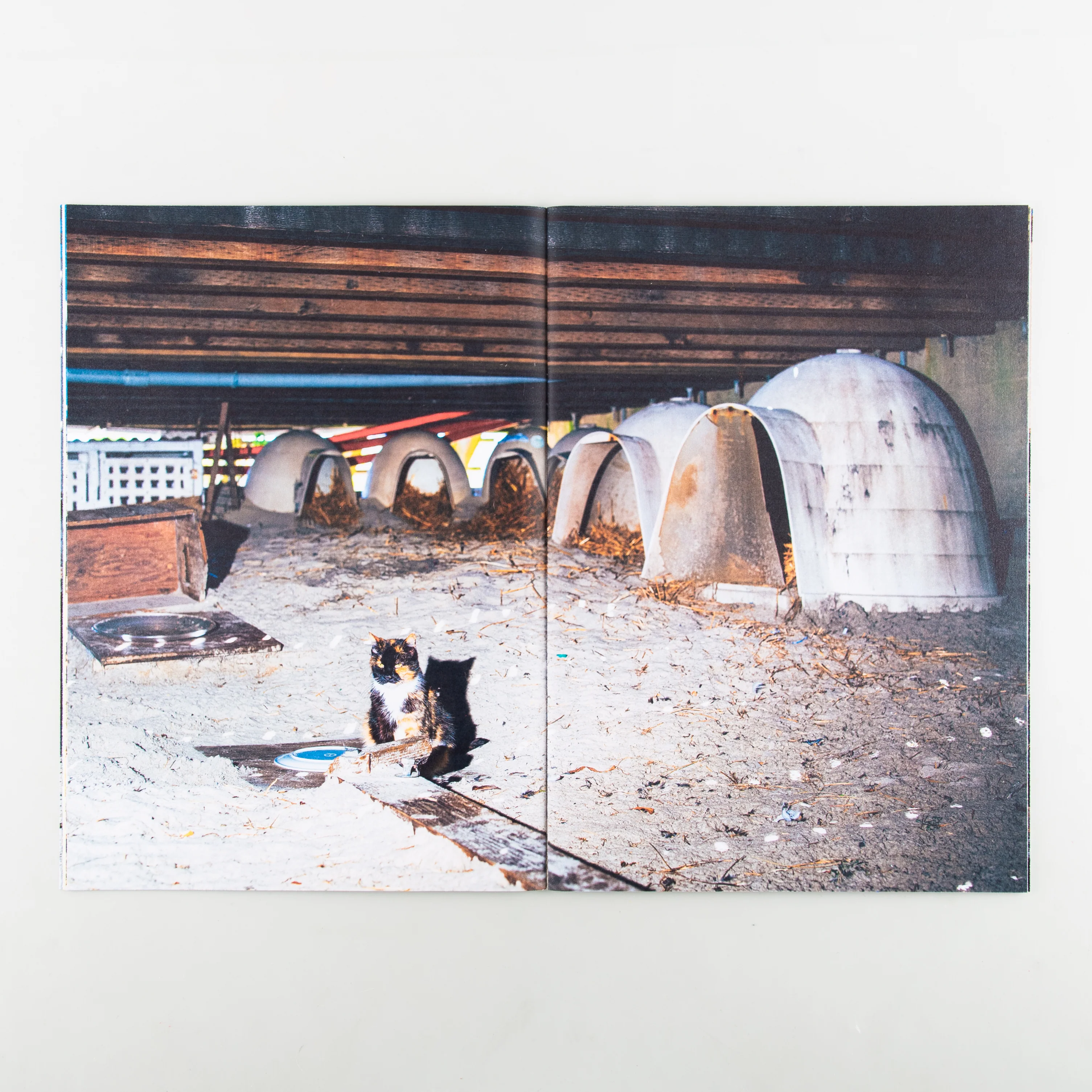 Backyard Diaries Vol.3 (Signed) - Image 7