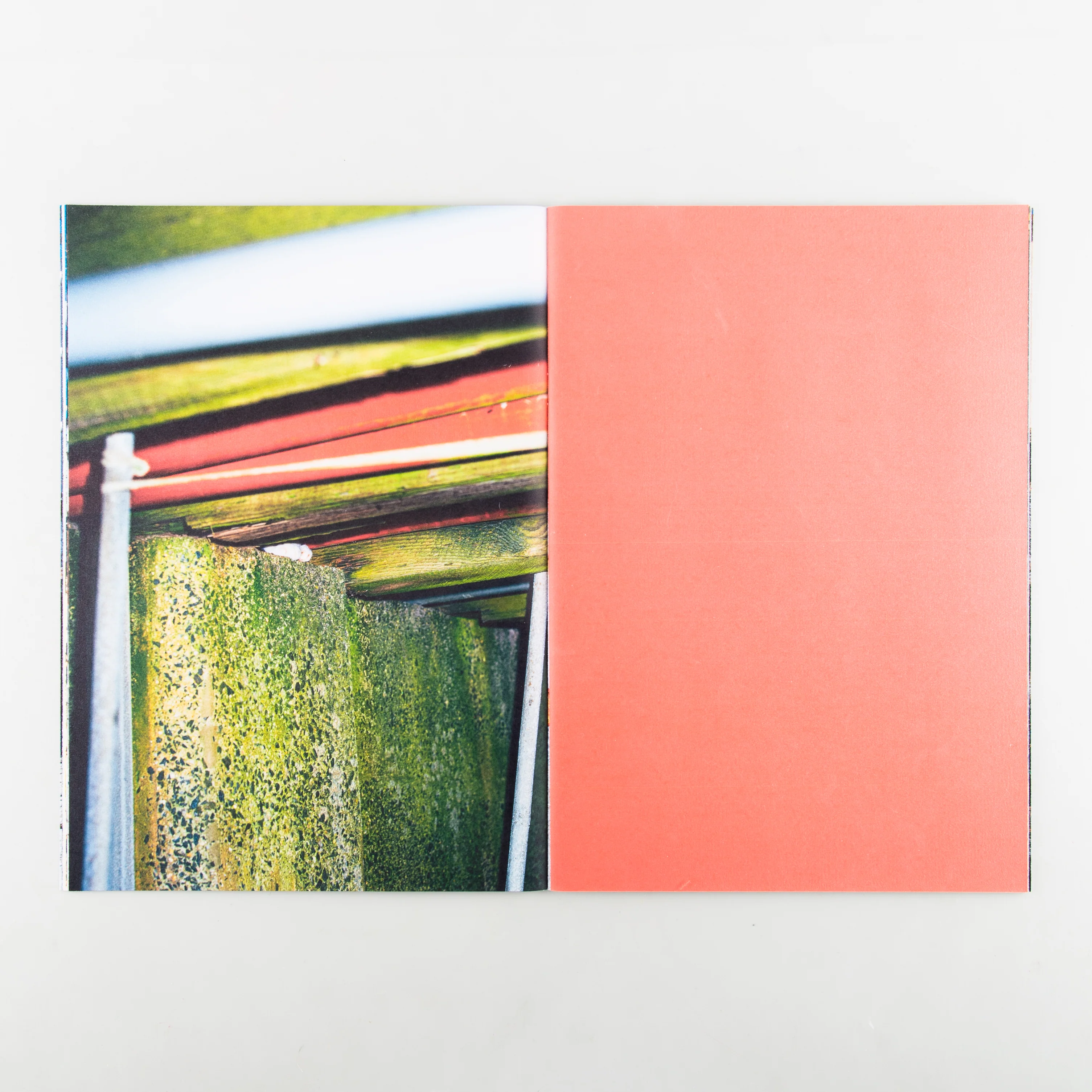Backyard Diaries Vol.3 (Signed) - Image 8