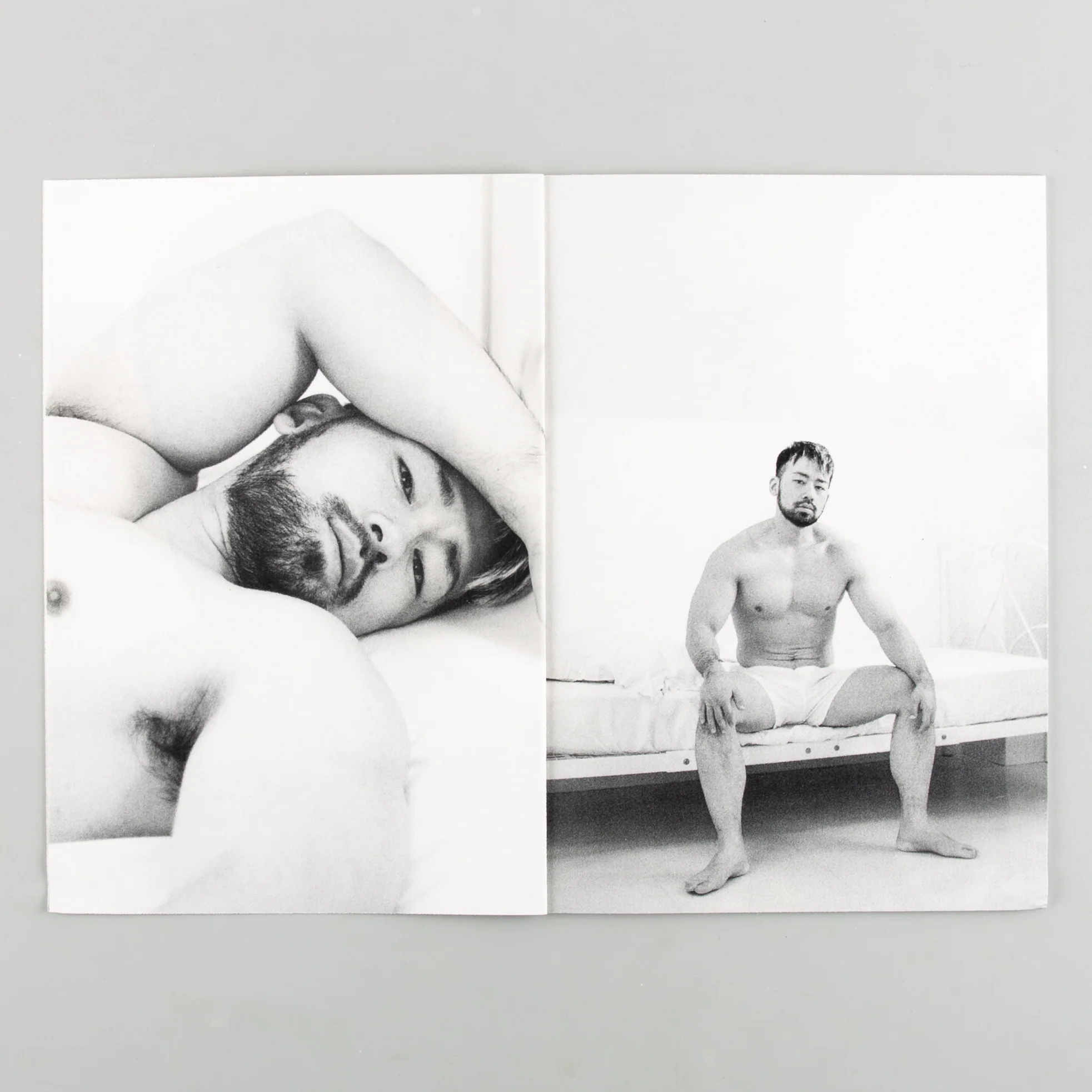 bedfellows - Image 7