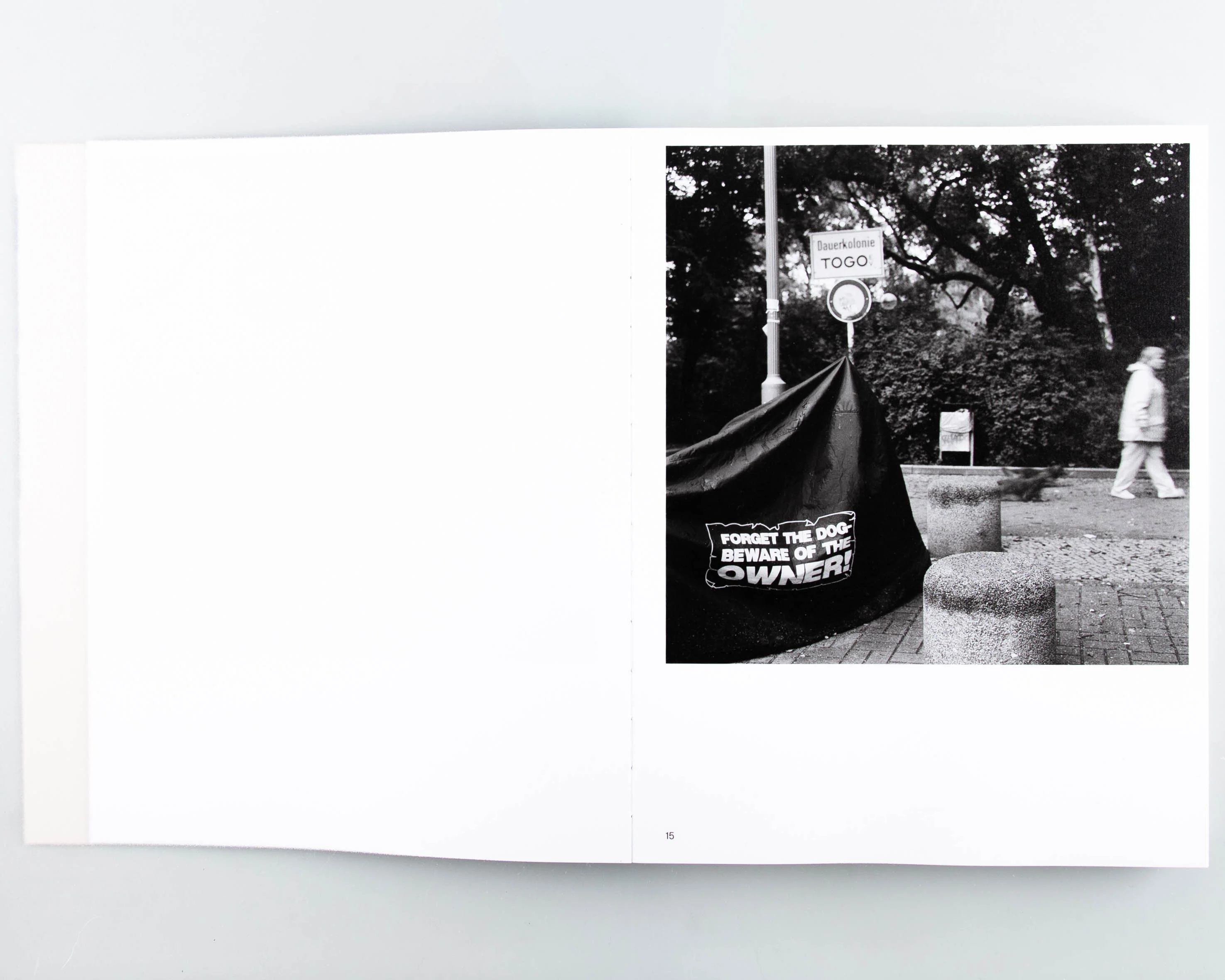 Beeing, Seeing - Image 7