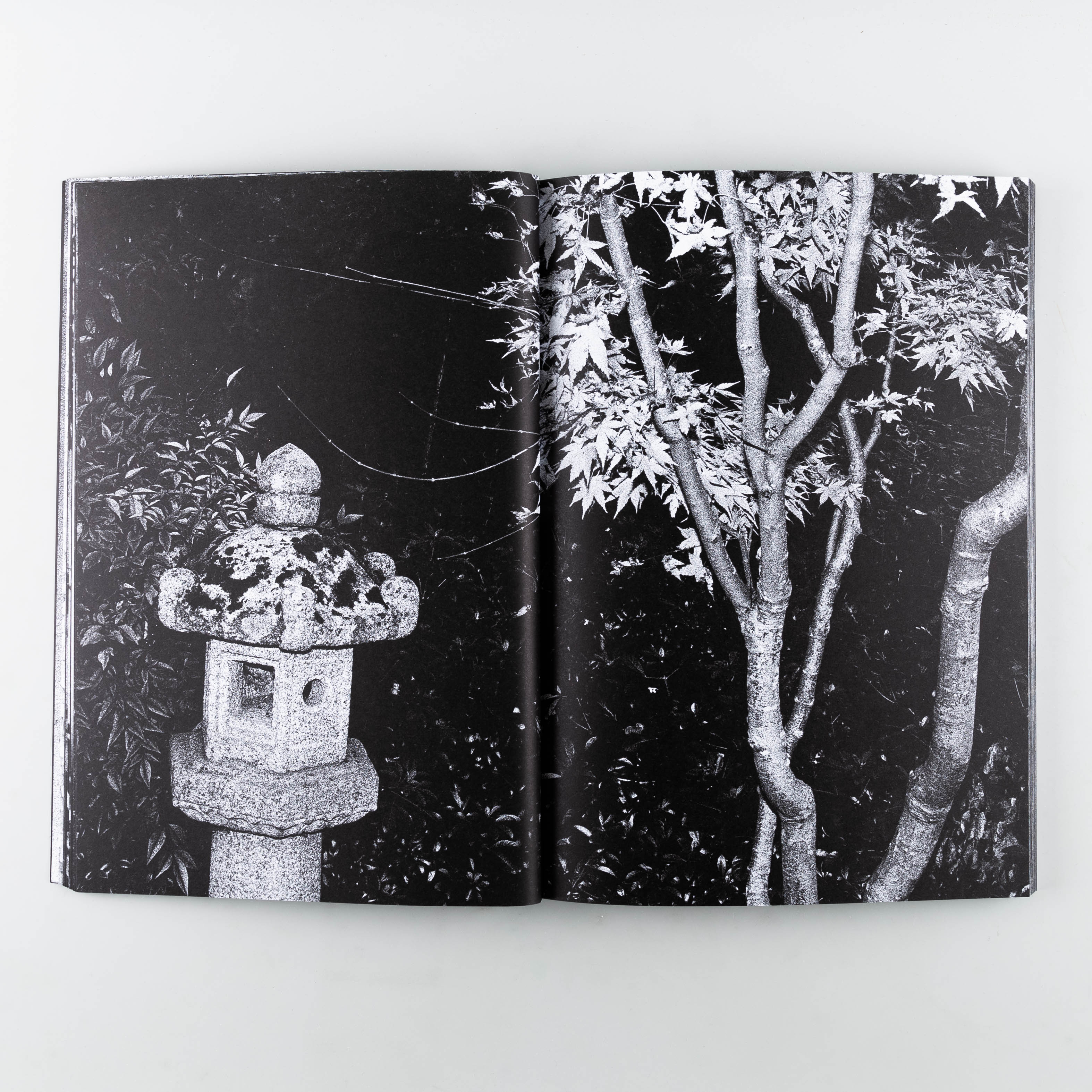 Beyond Inside - Image 10