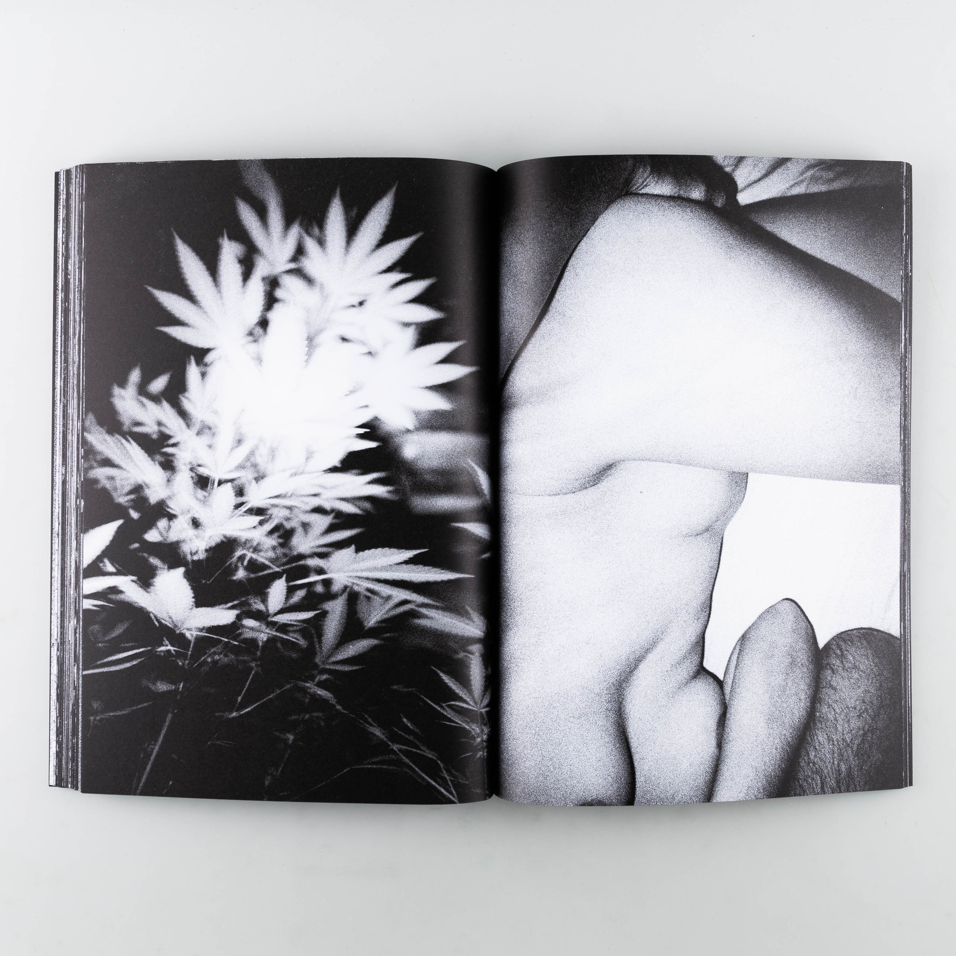Beyond Inside - Image 3