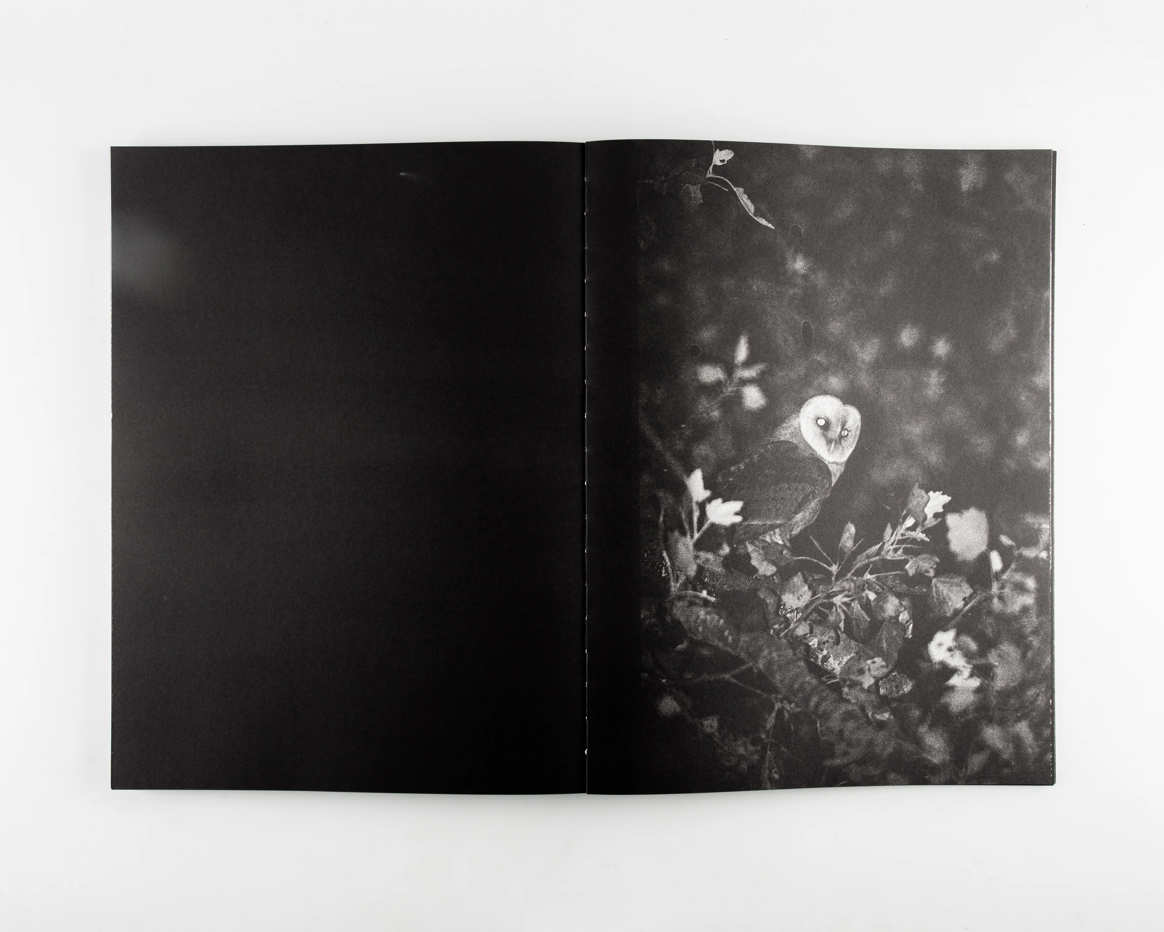 Blank Notes - Image 10