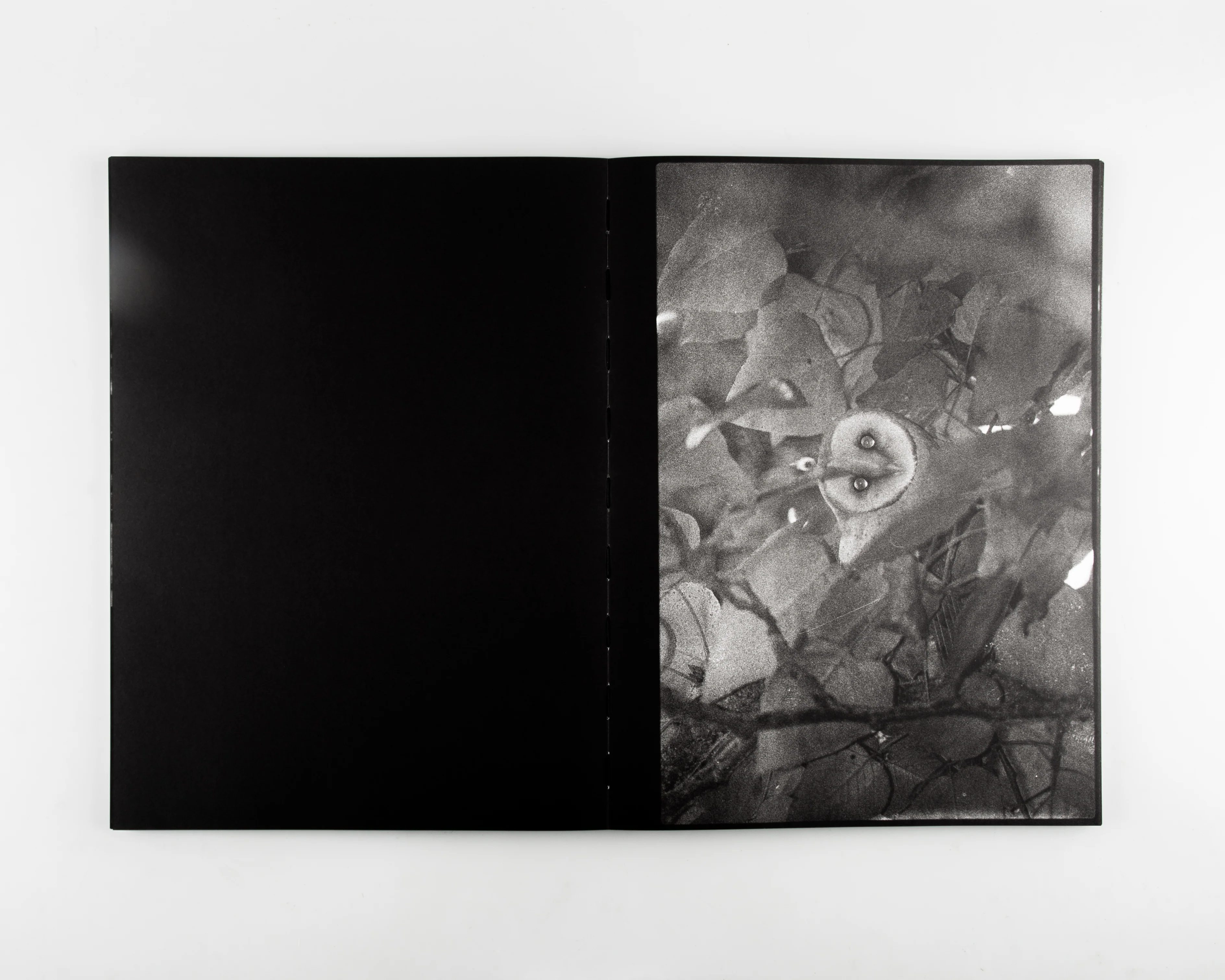 Blank Notes - Image 2