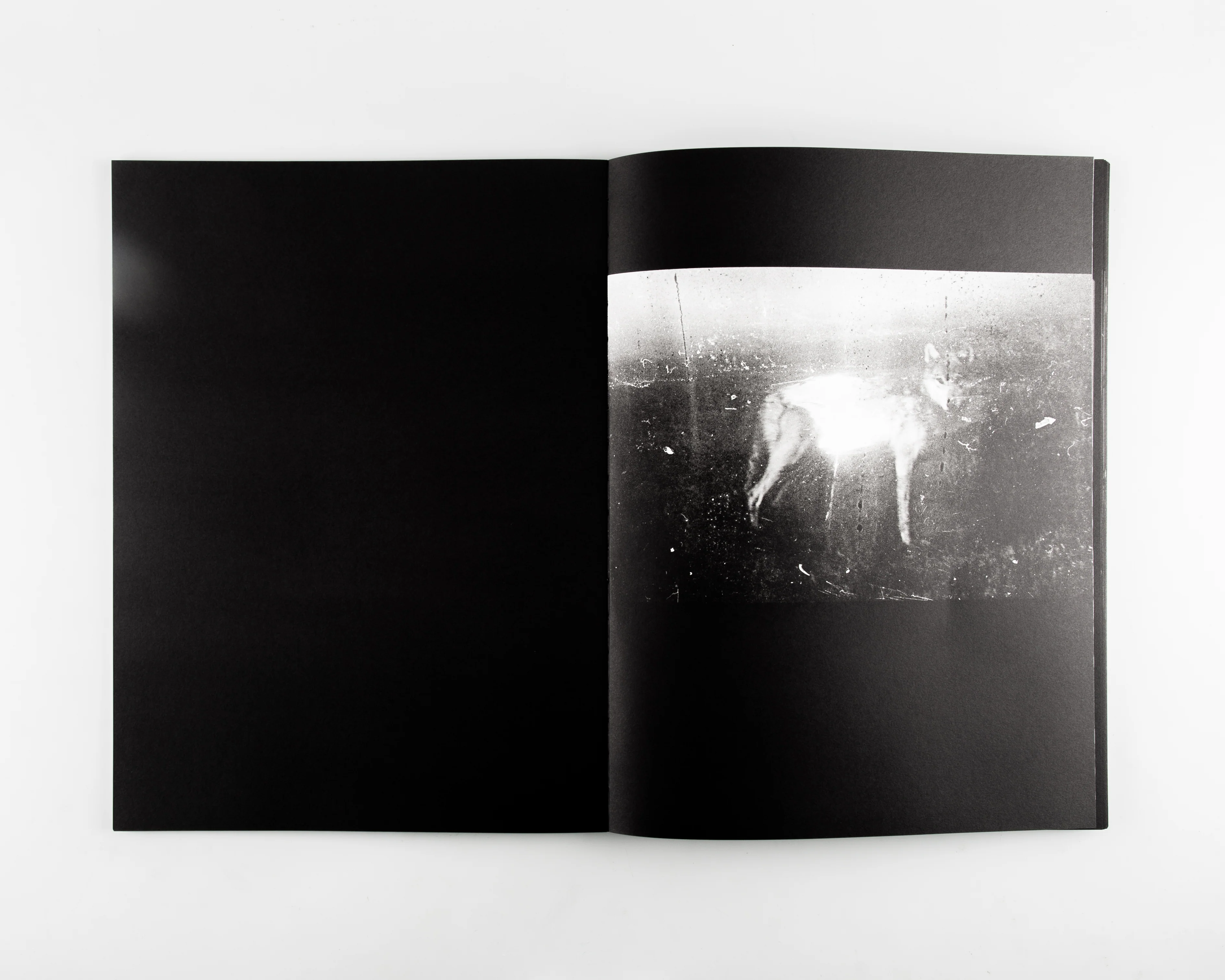 Blank Notes - Image 4