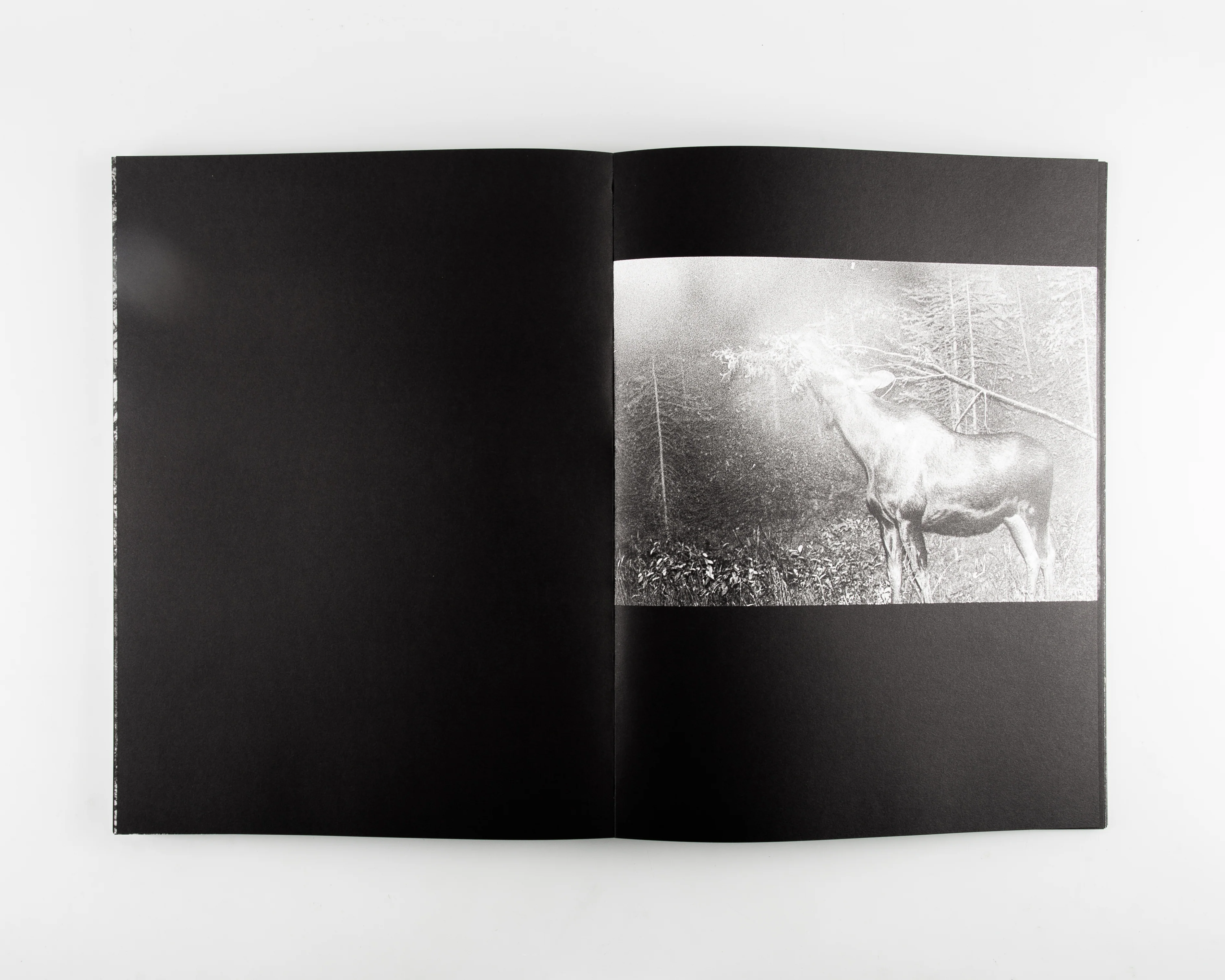 Blank Notes - Image 9