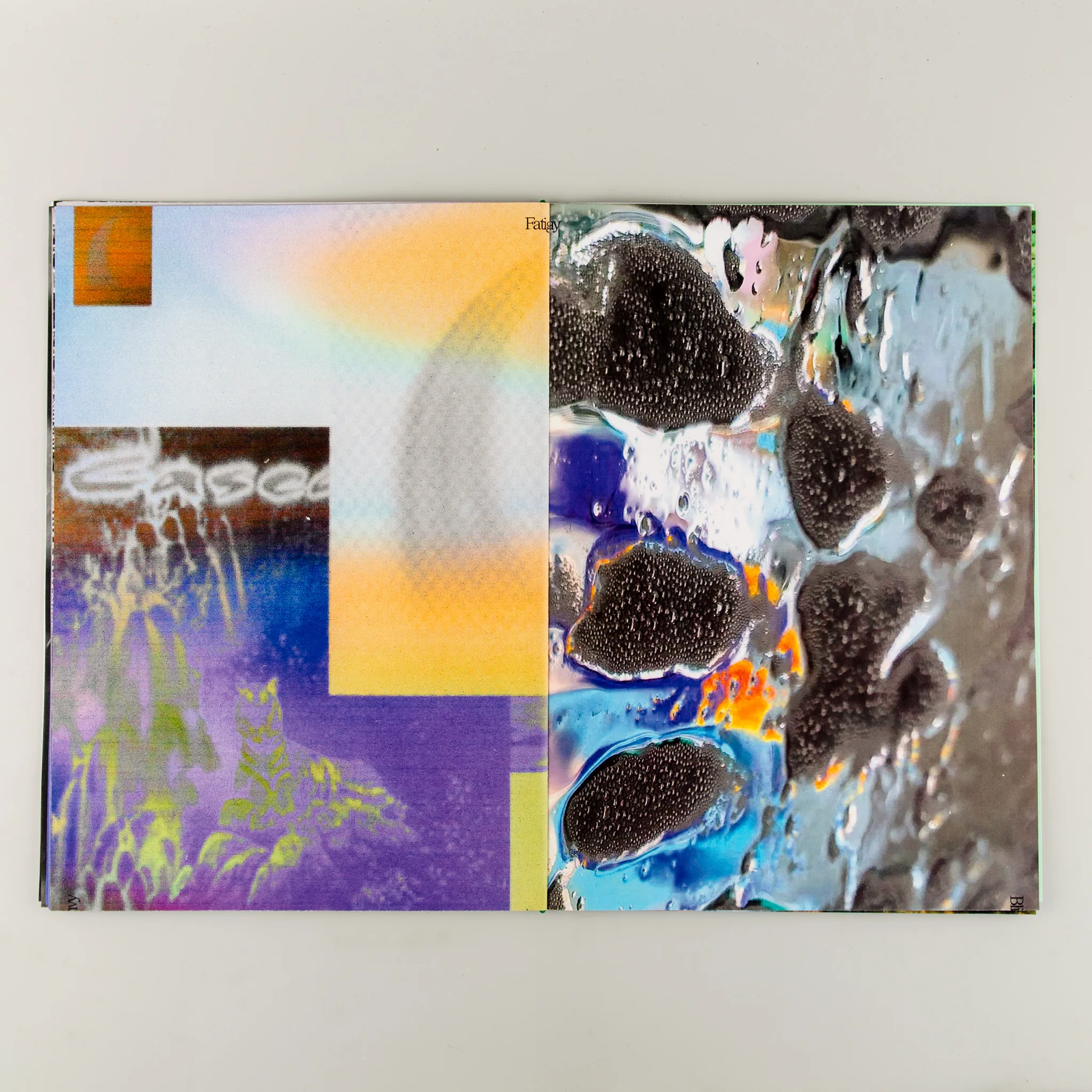 Bliss & Envy - Image 4