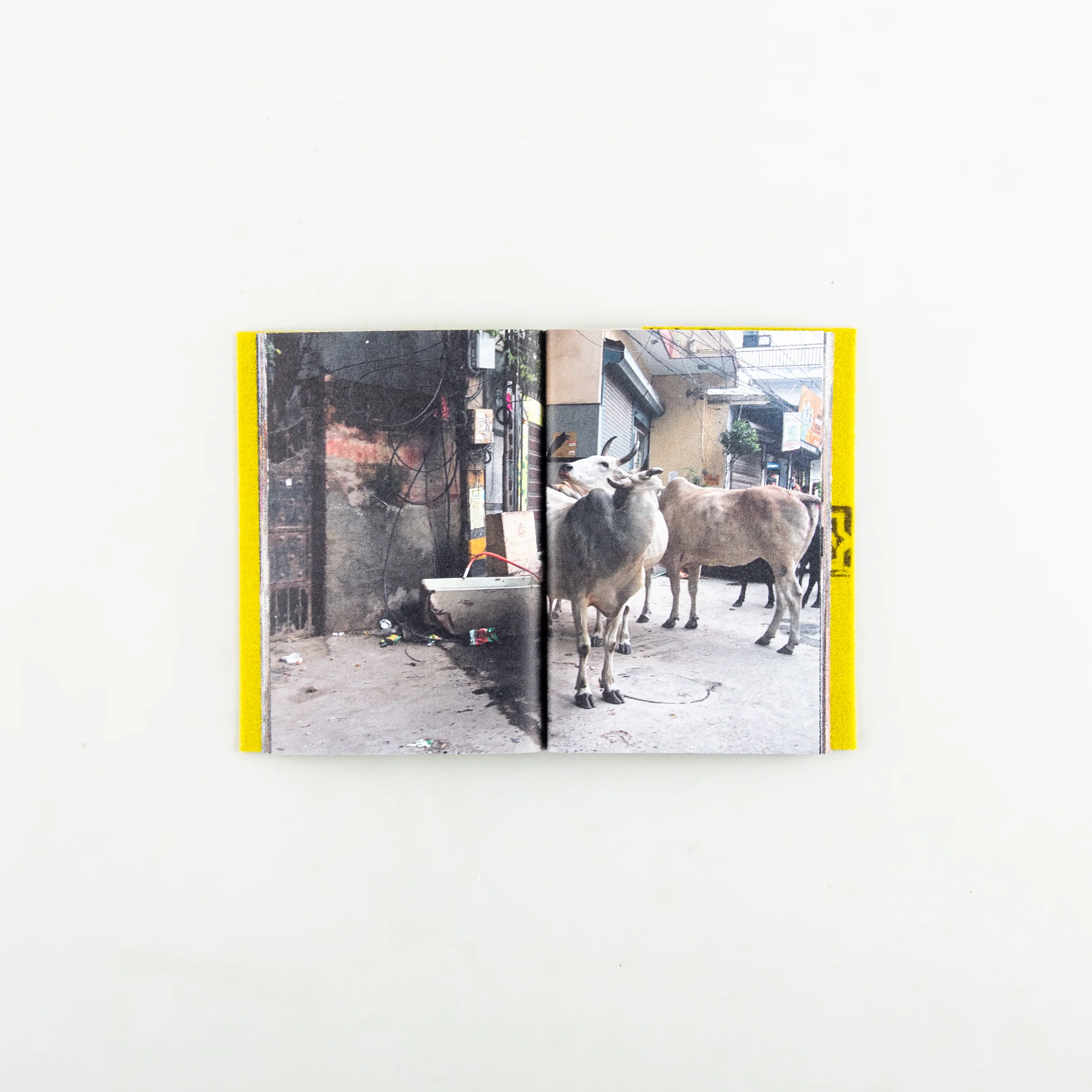 BLOW HORN - Image 6