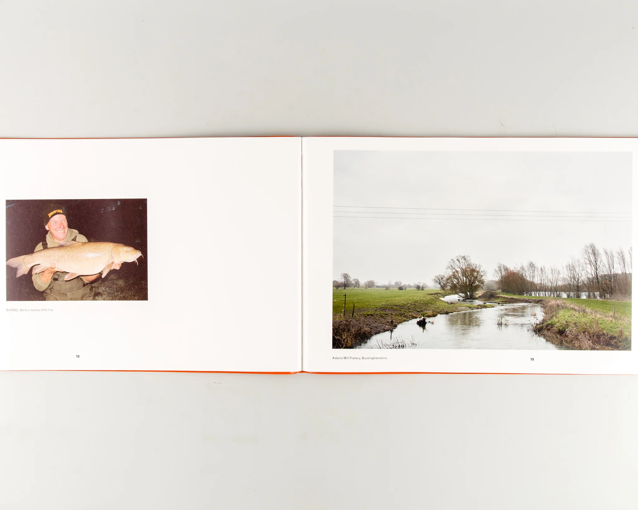 British Record Fish - Image 2